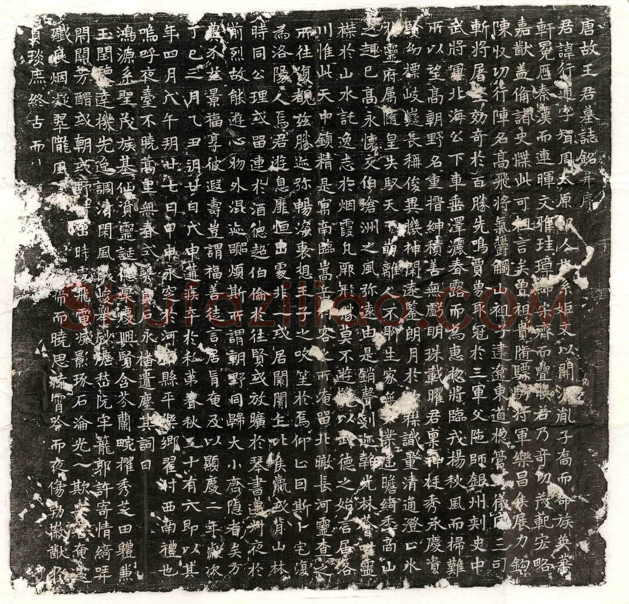 唐 崔振 崔振妻郑辚 墓誌