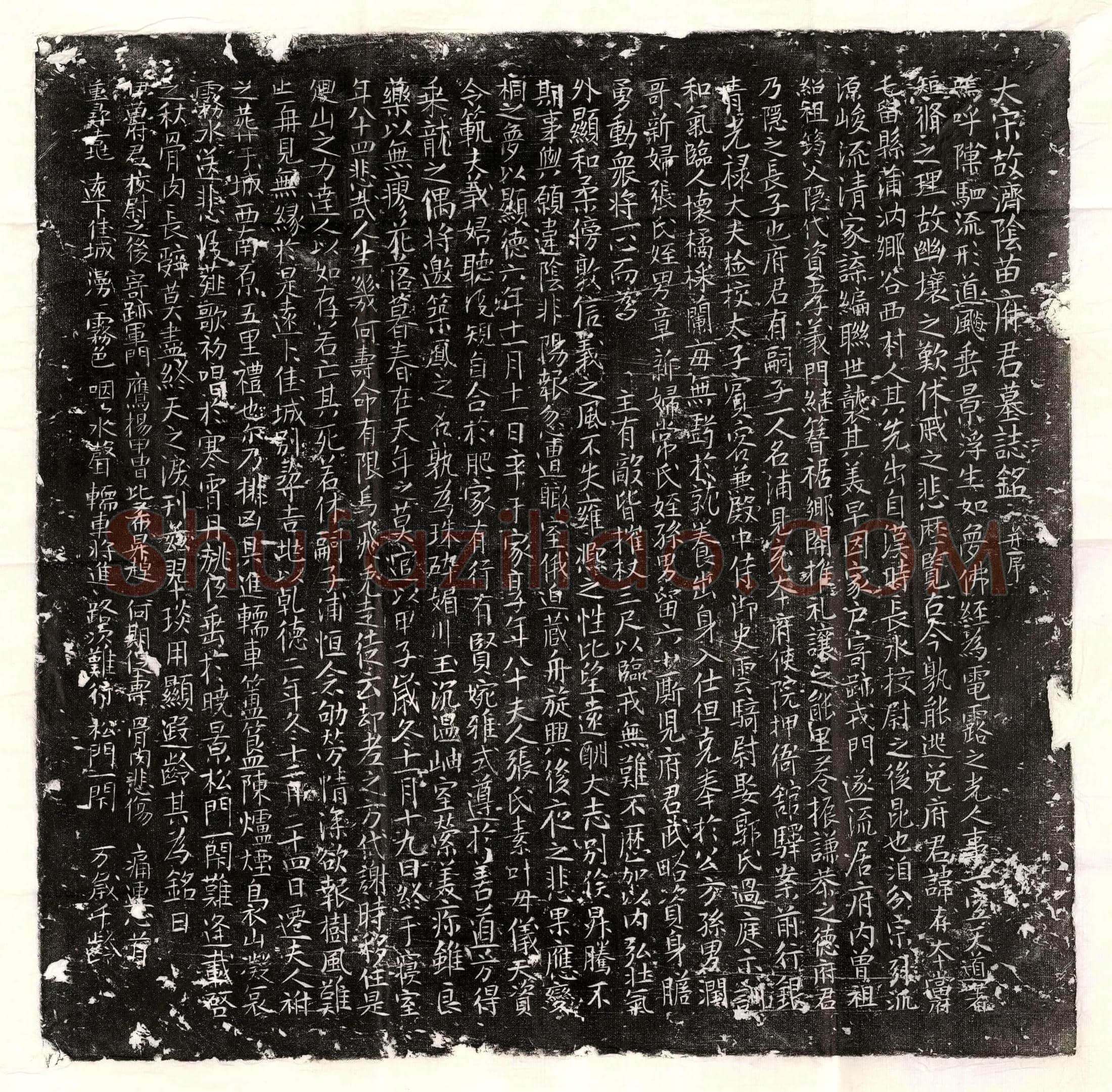 唐 卢君妻李优鉢 墓誌