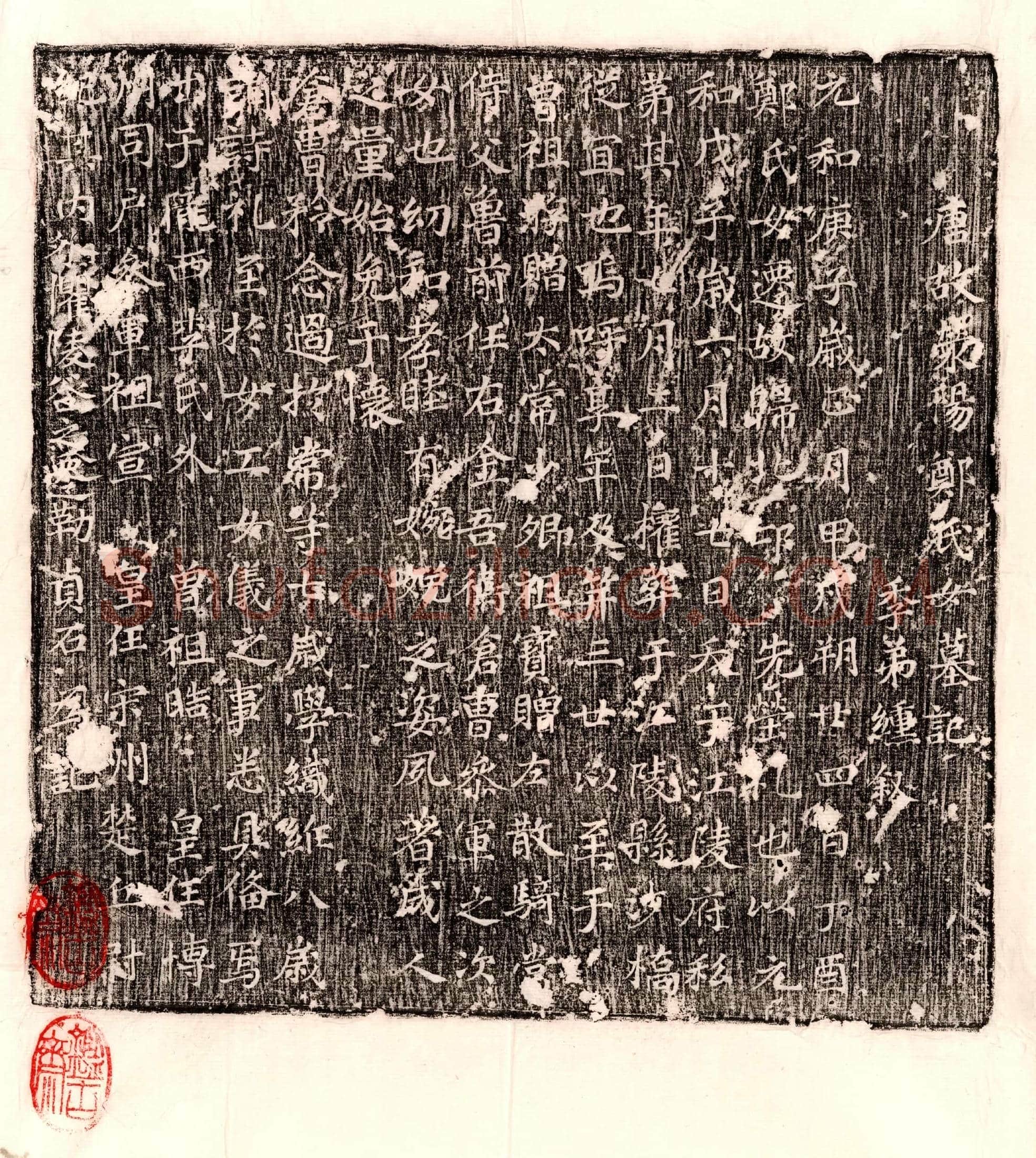 唐 崔尊 墓誌