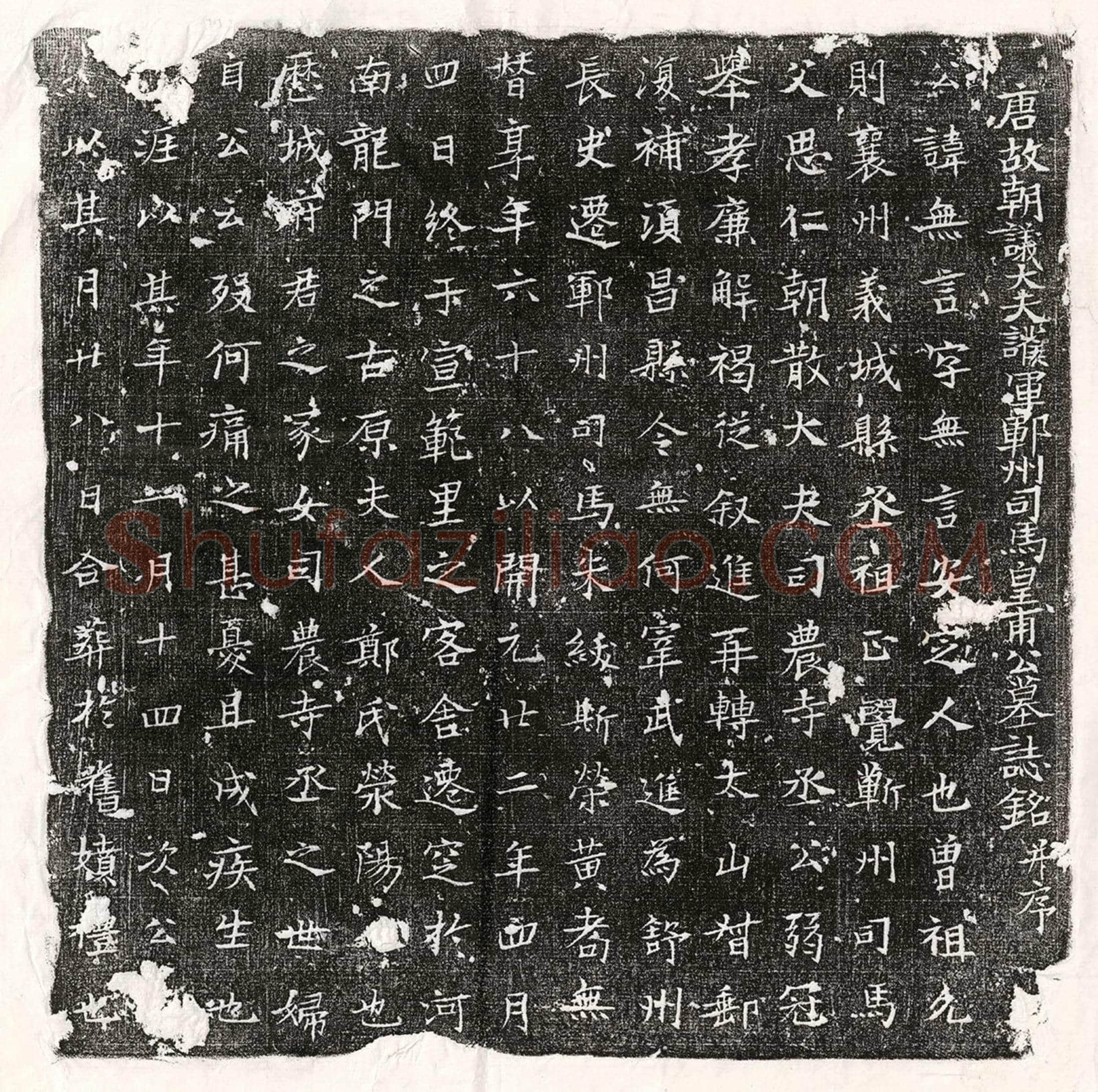 唐 陈专 墓誌