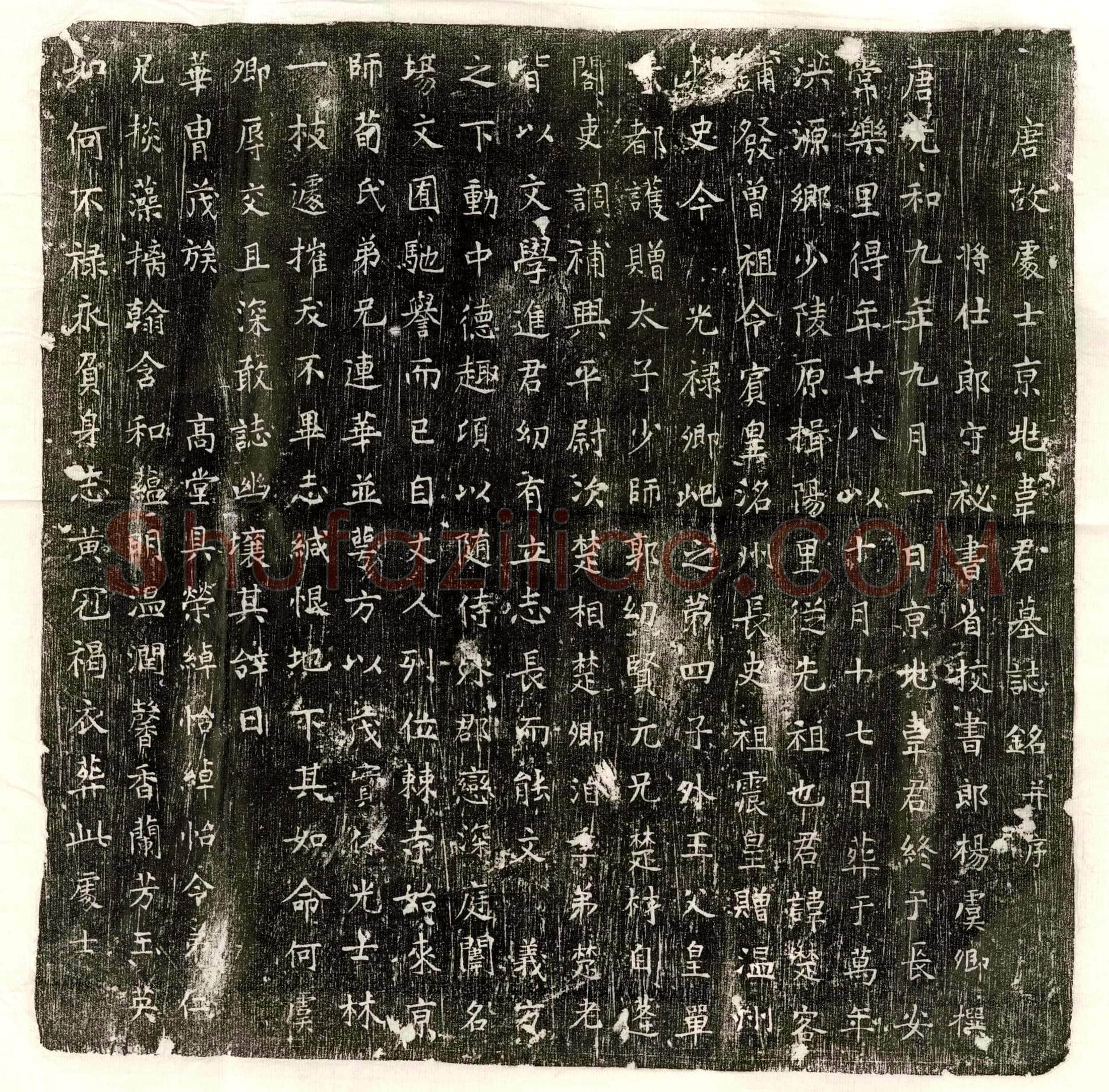 唐 王守信 墓誌
