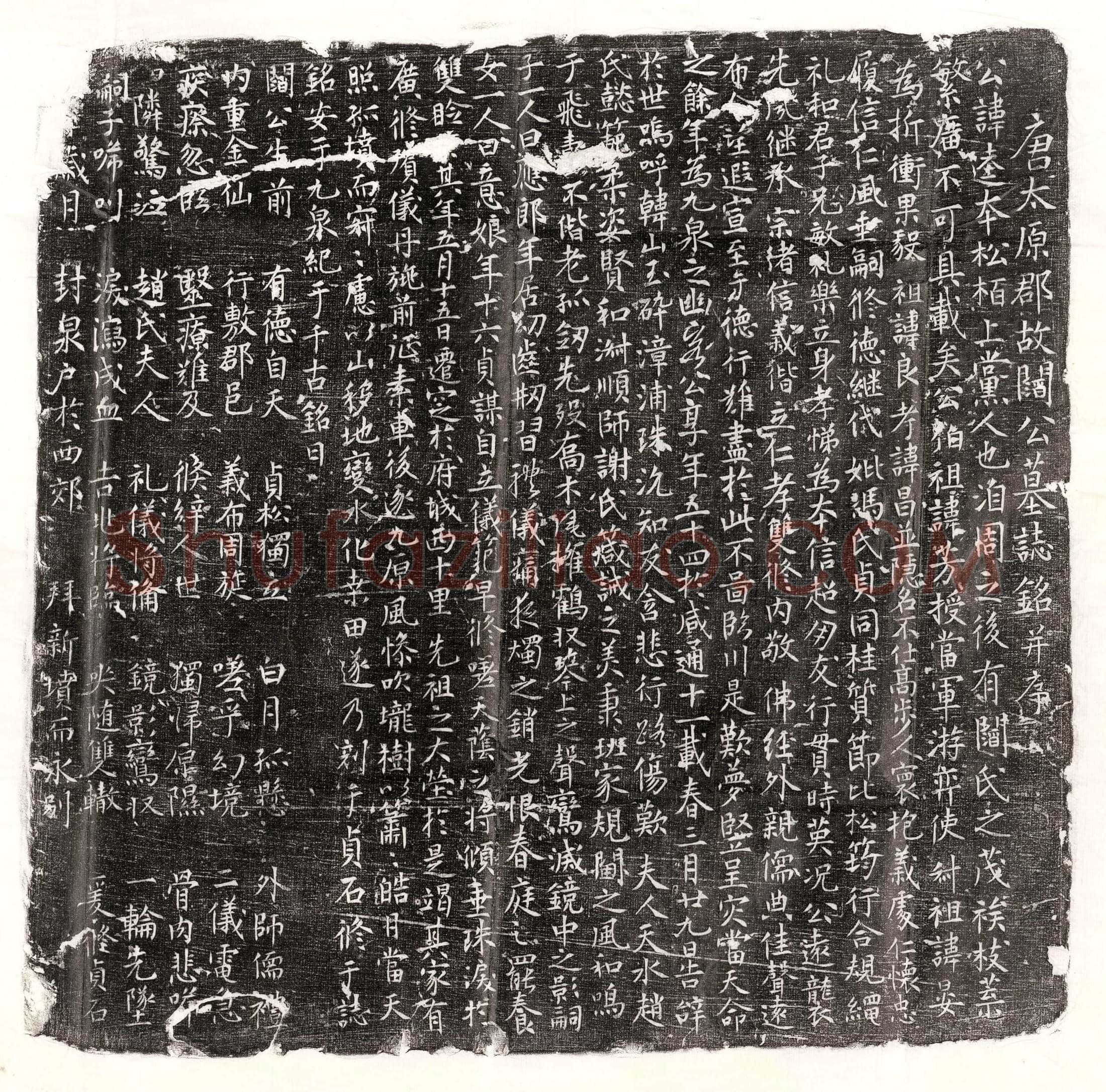 唐 袁侠 墓誌