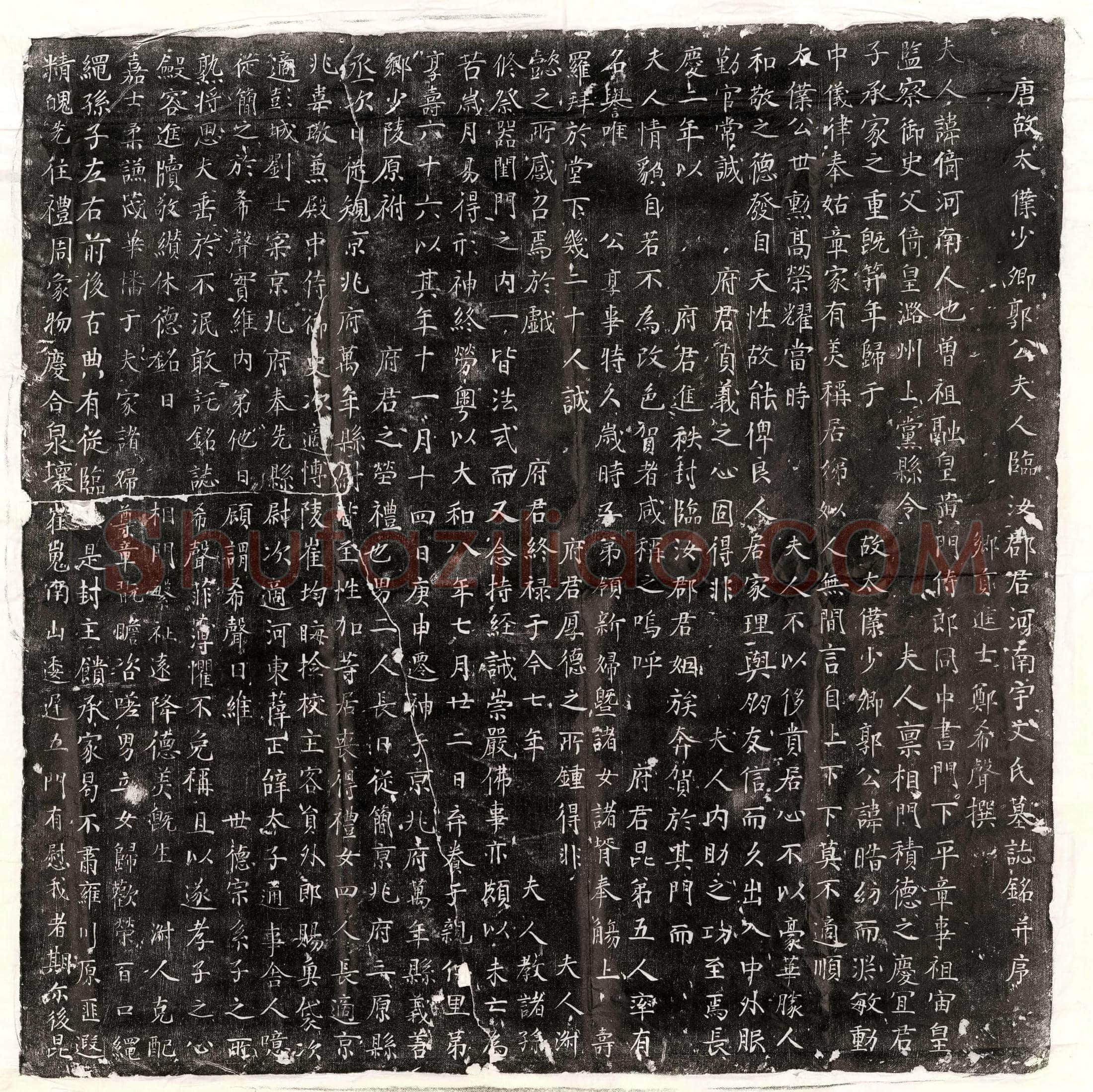 唐 汤贲妻侯莫陈约 墓誌