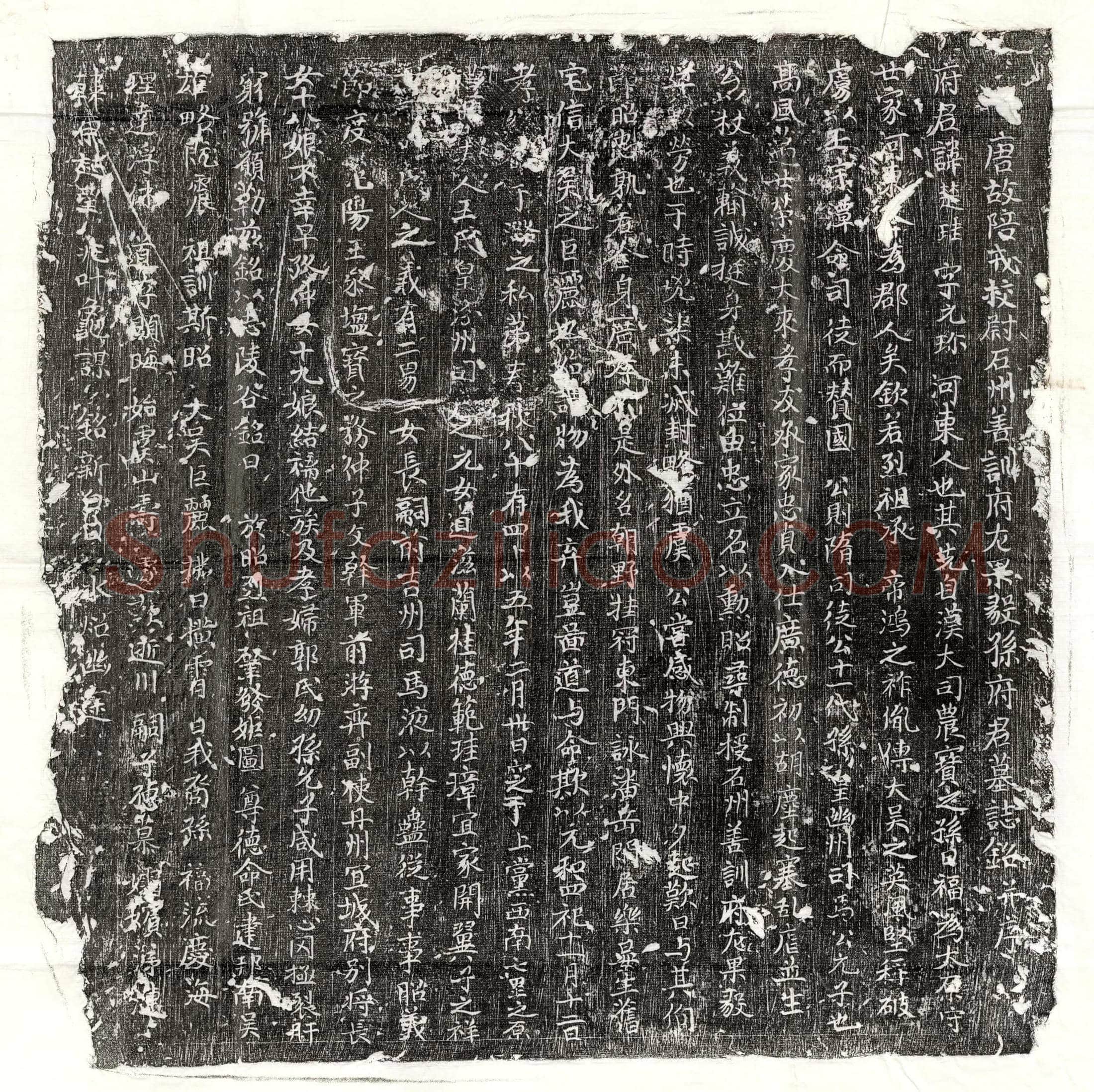 唐 孙楚珪妻王清净智 墓誌
