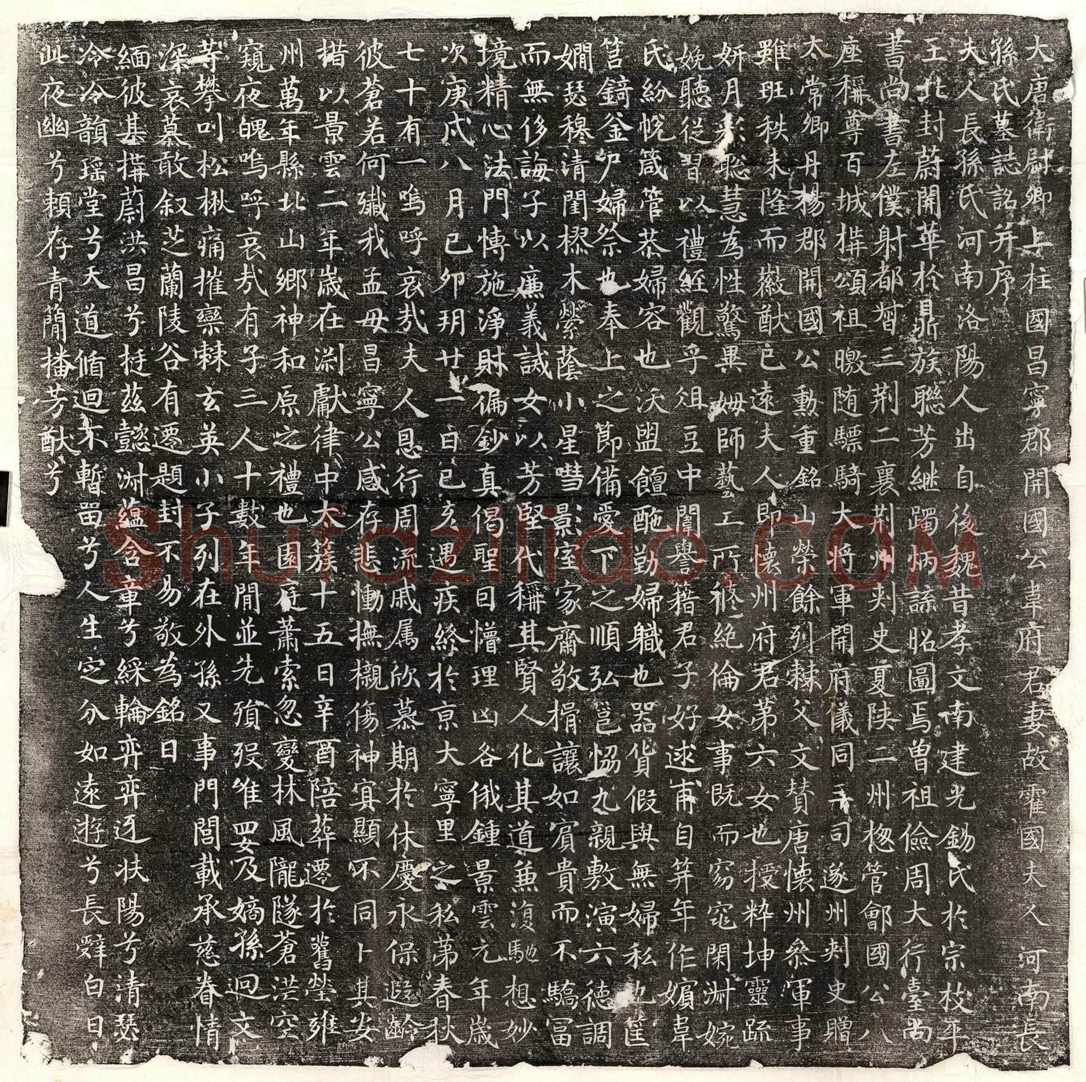 唐 王希晋 墓誌