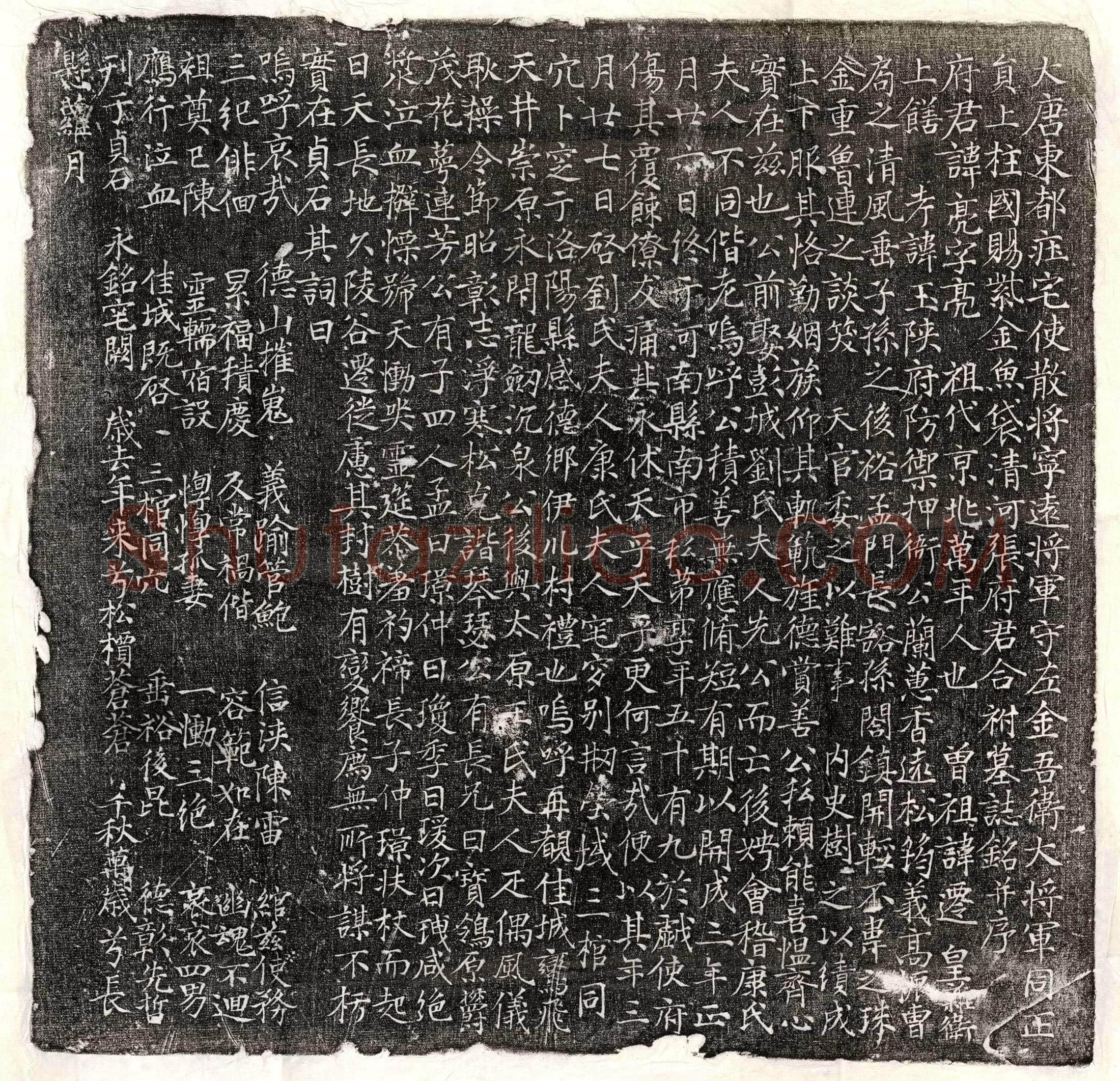 唐 王君妻姚氏 墓誌