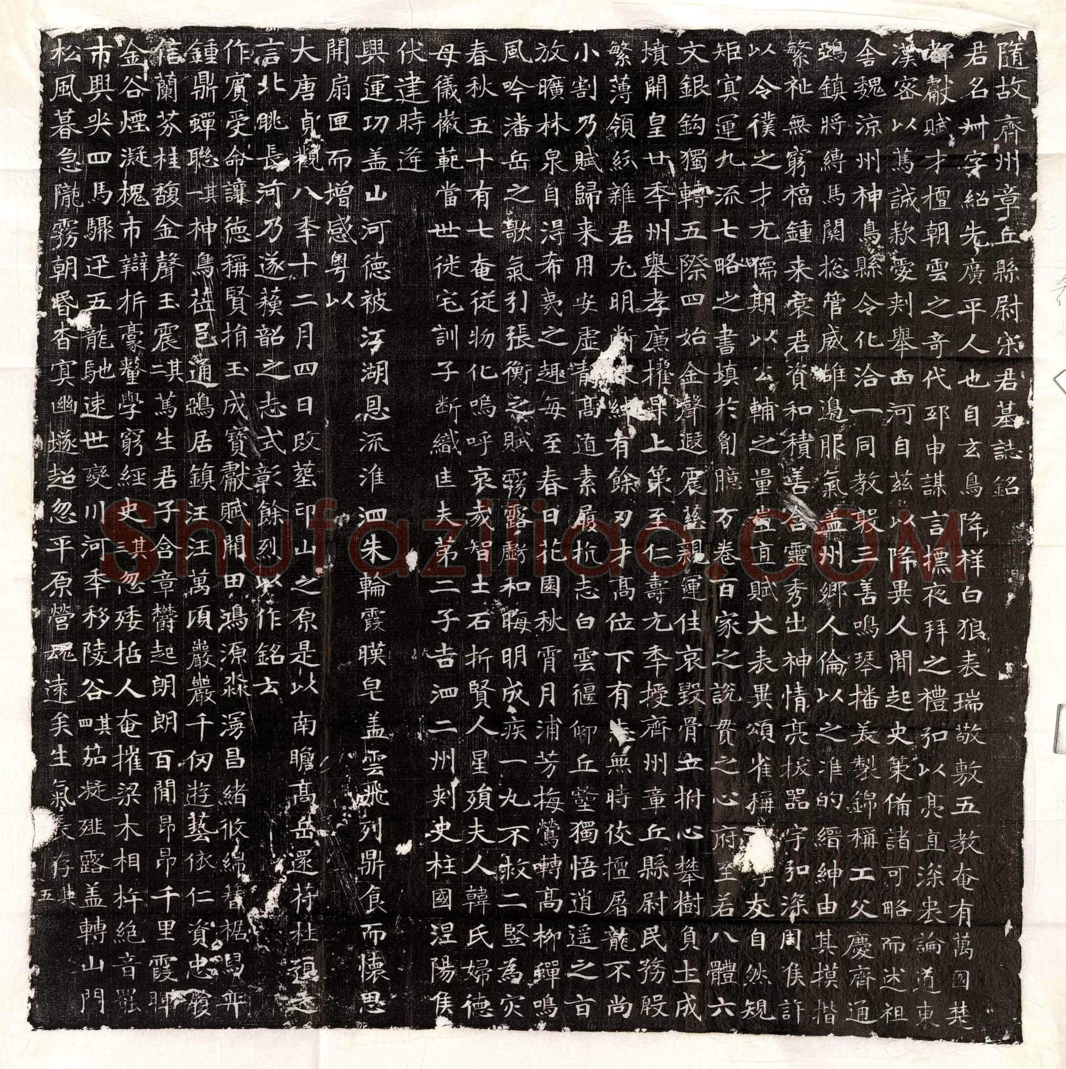 唐 魏兼爱 墓誌
