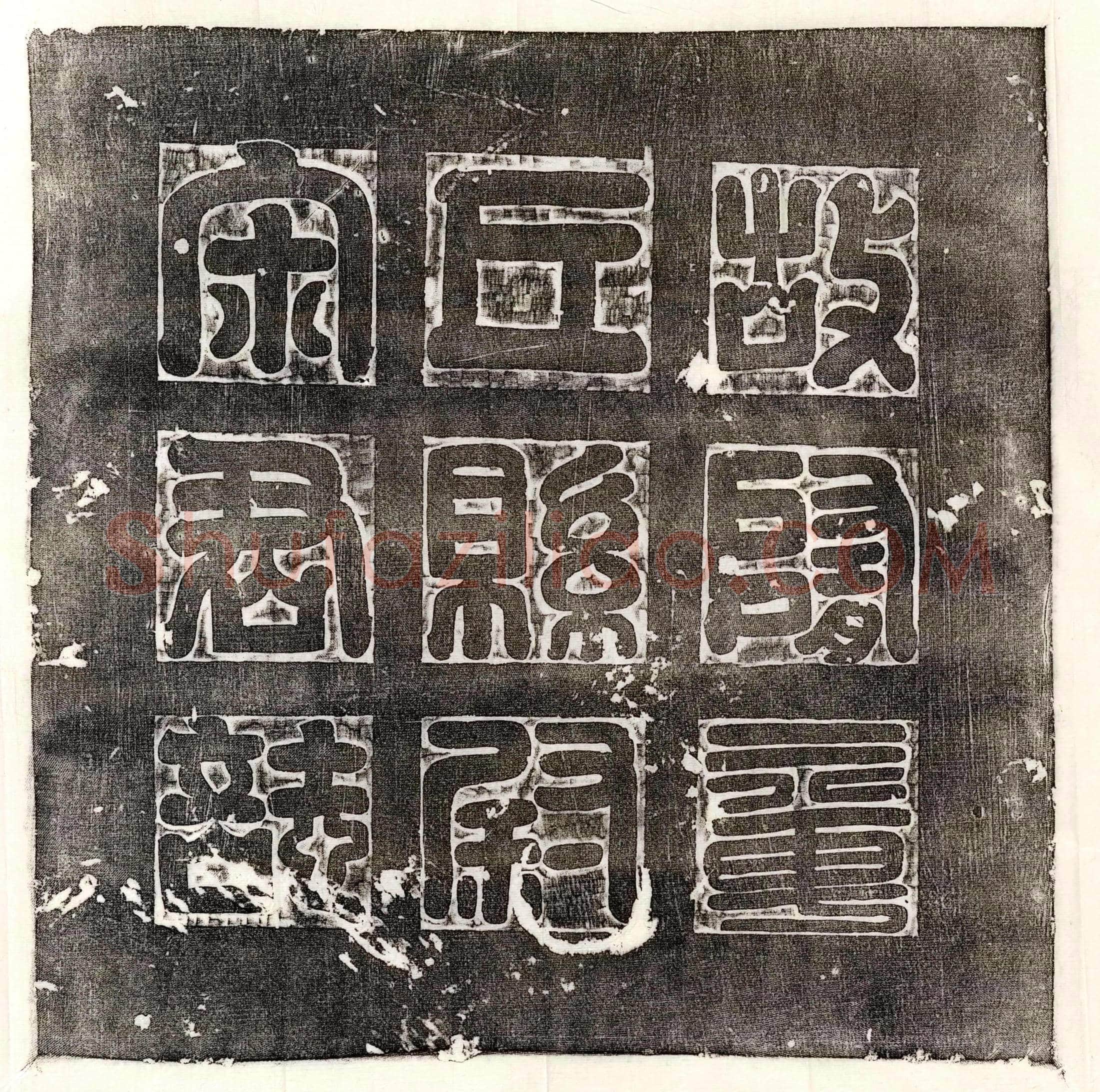 唐 张君妻郑柔则 墓誌