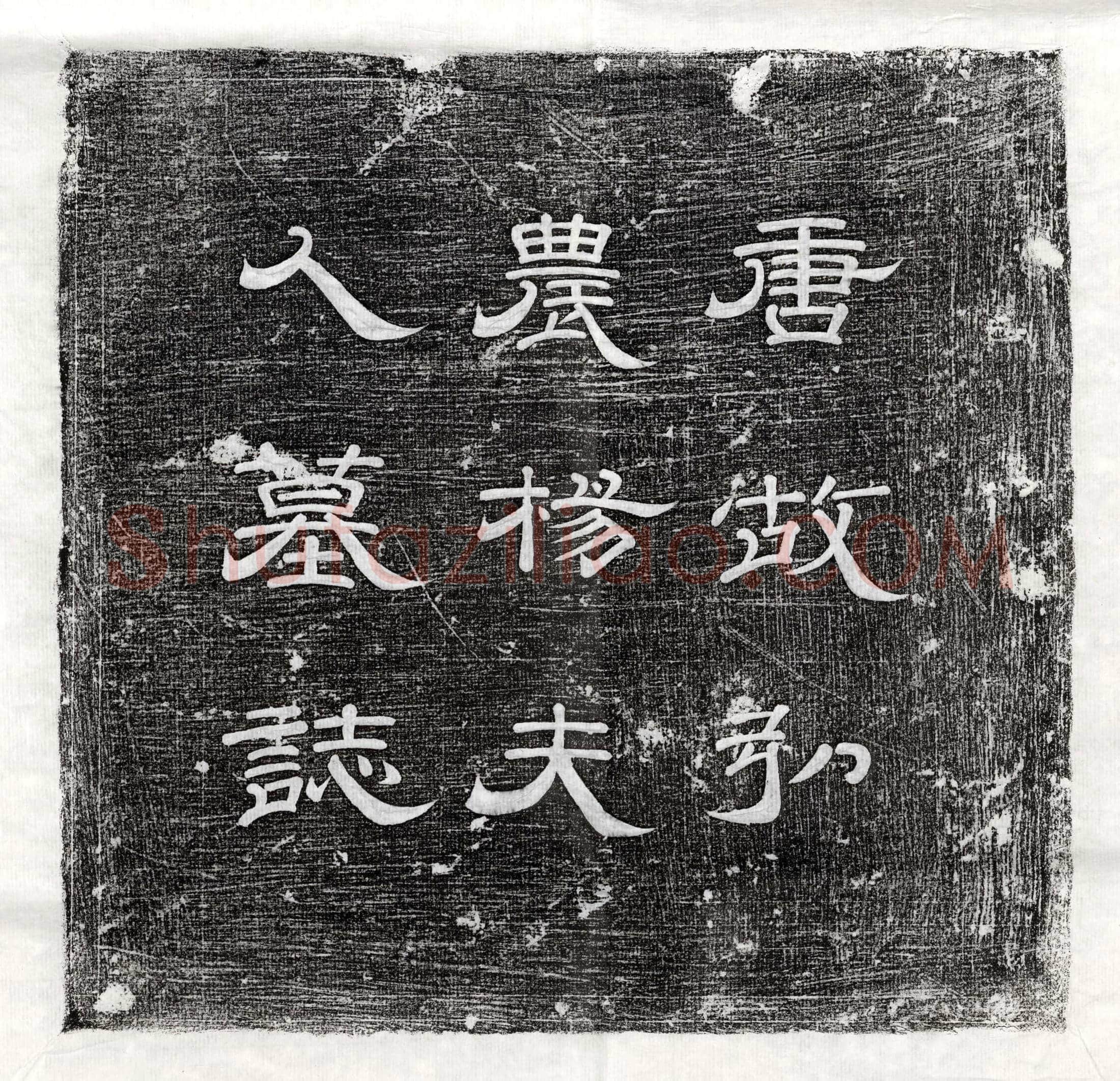 唐 蒋锐 墓誌