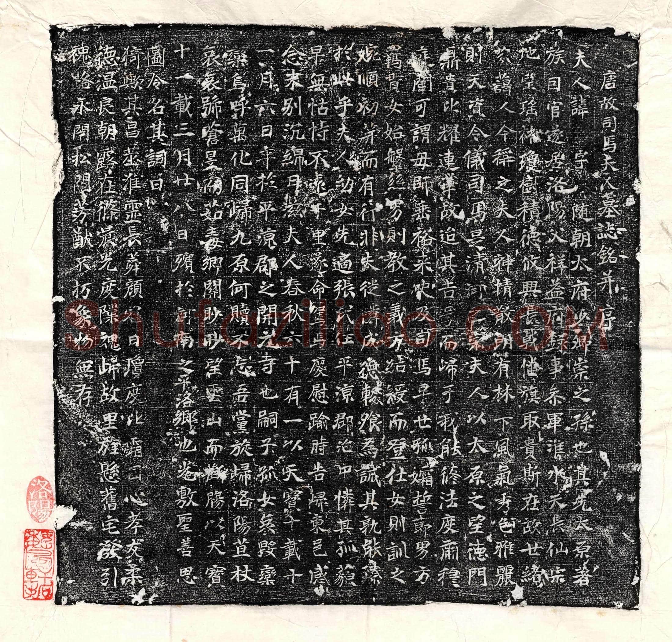 唐 淳于简 淳于简妻张氏 墓誌