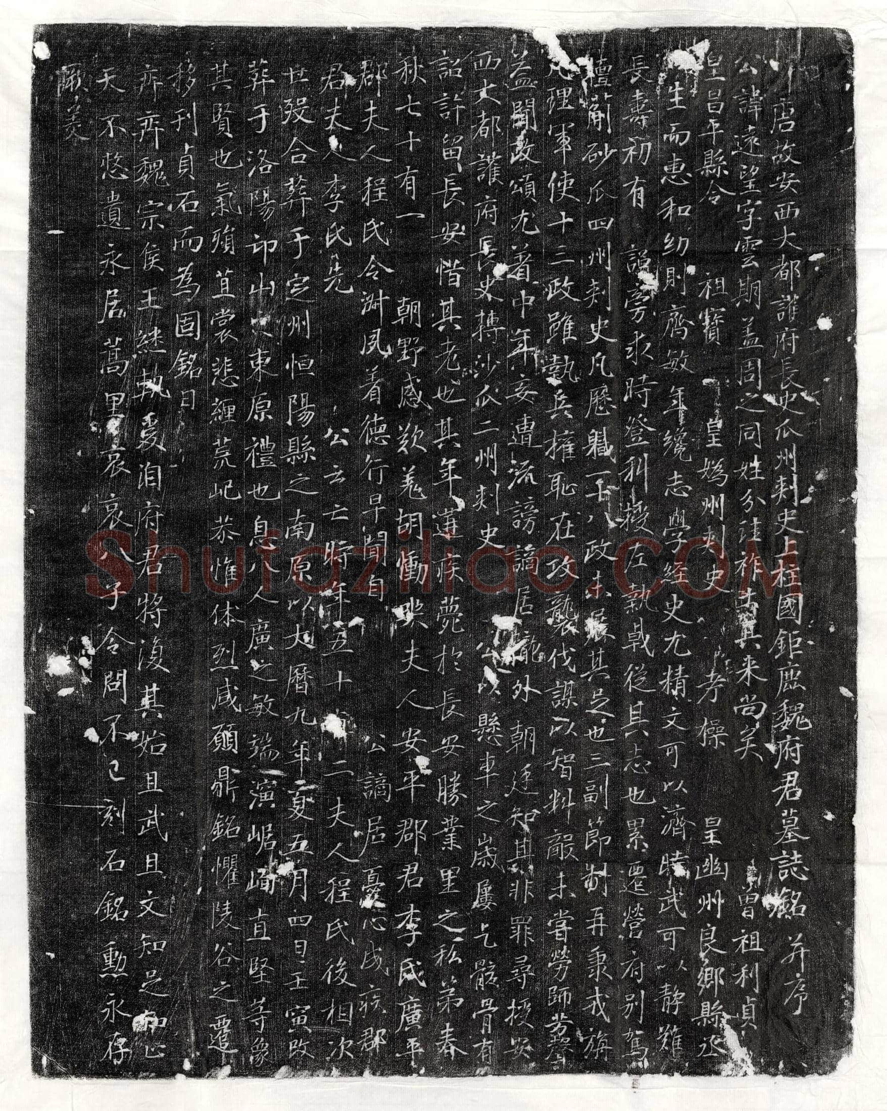 唐魏远望墓誌(唐故安西大都护府长史瓜州刺史上柱国鉅鹿魏府君墓誌铭并序)