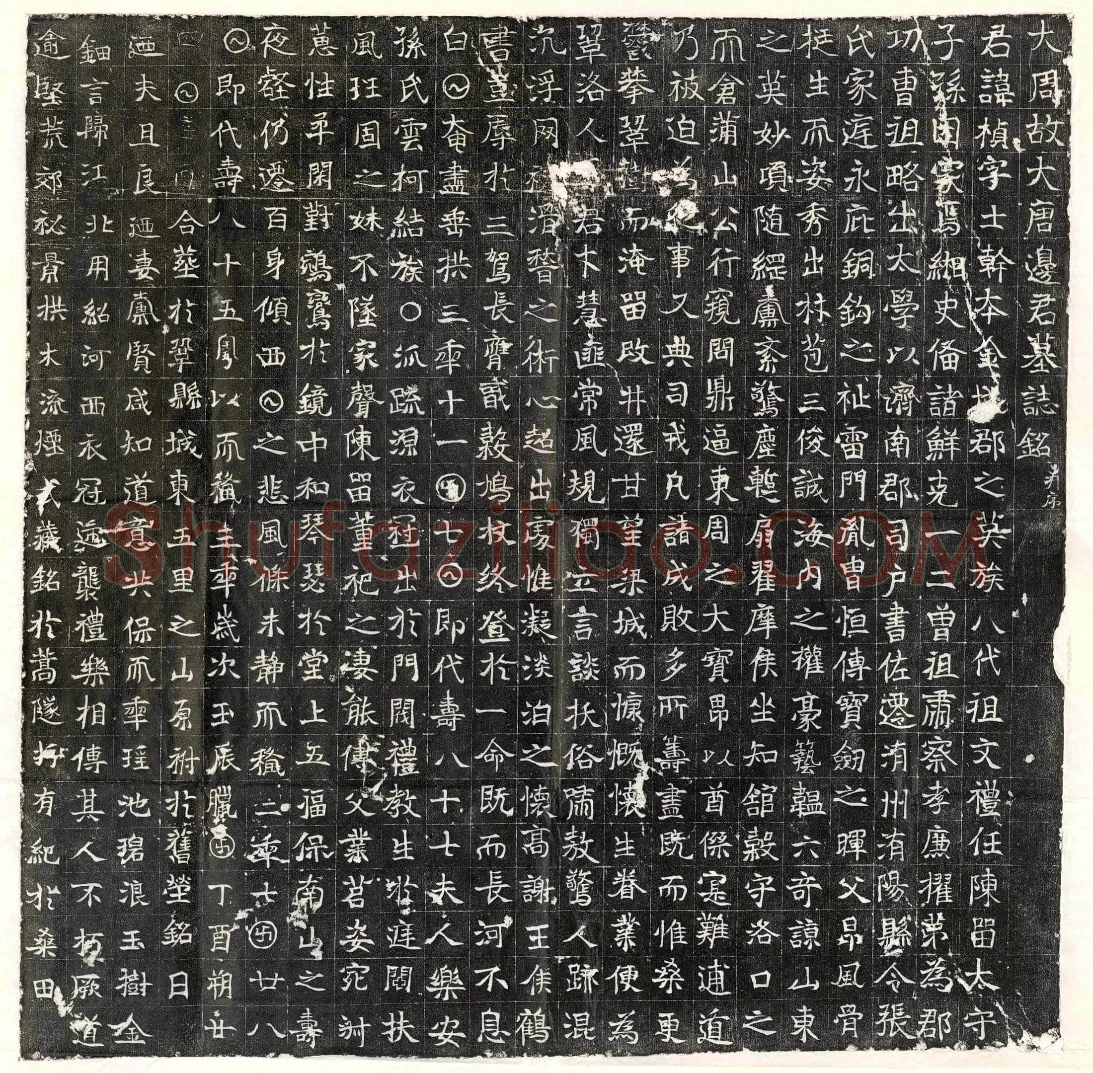唐 班君妻郑珪 墓誌