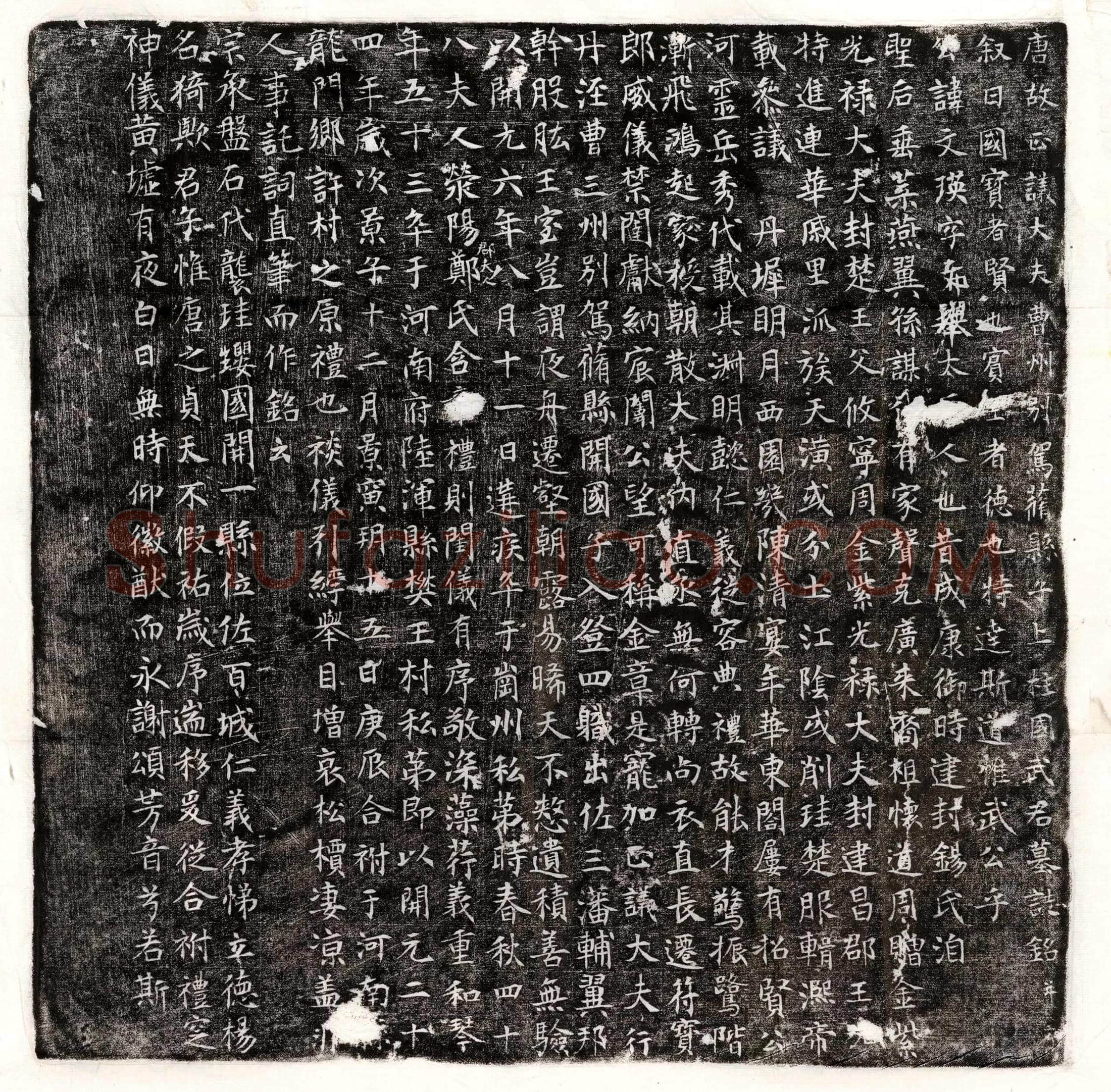 唐武文瑛墓誌(唐故正议大夫曹州别驾蓨县子上柱国武君墓誌铭并序)