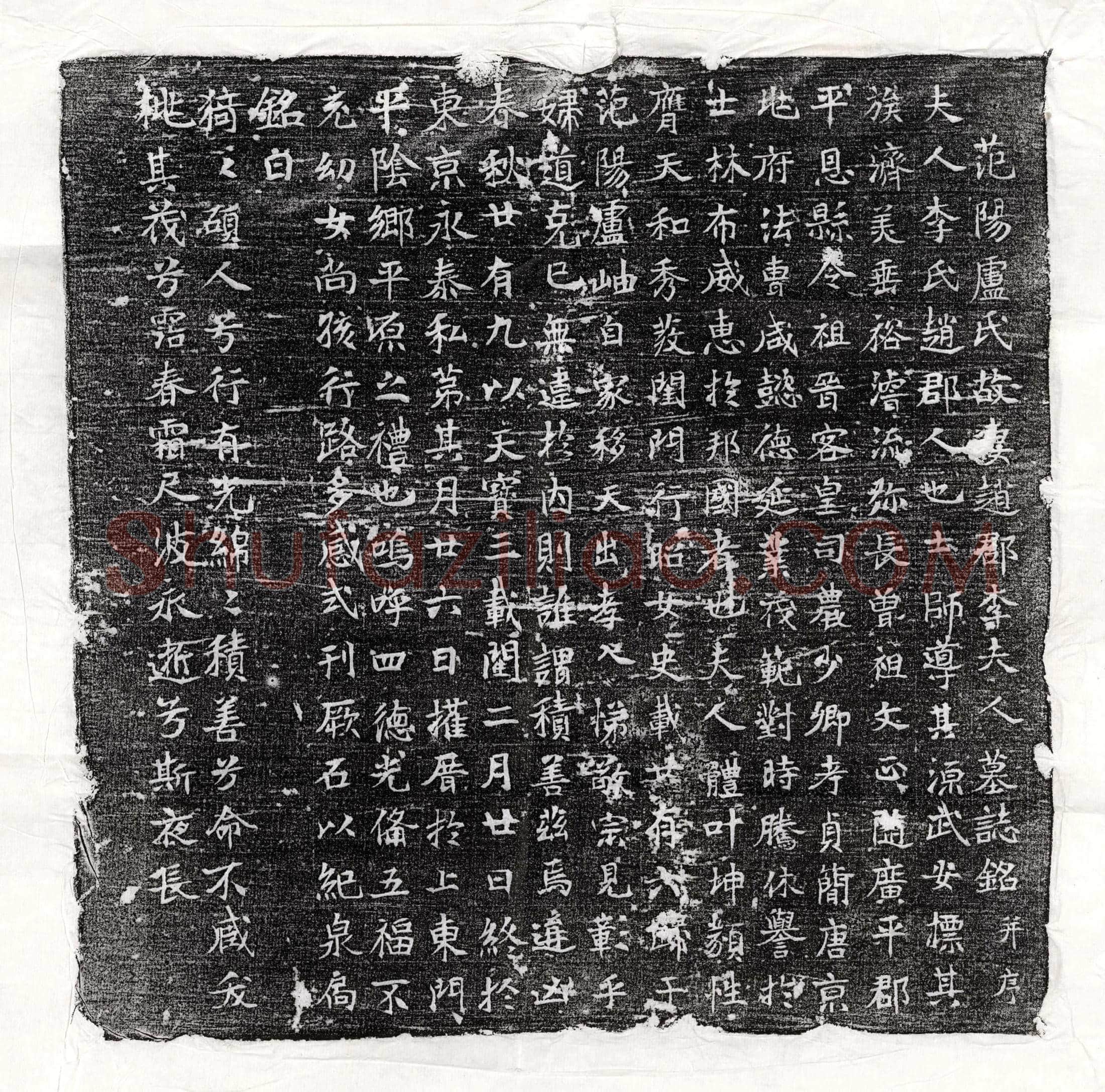 唐 杨君妻乙弗氏 墓誌