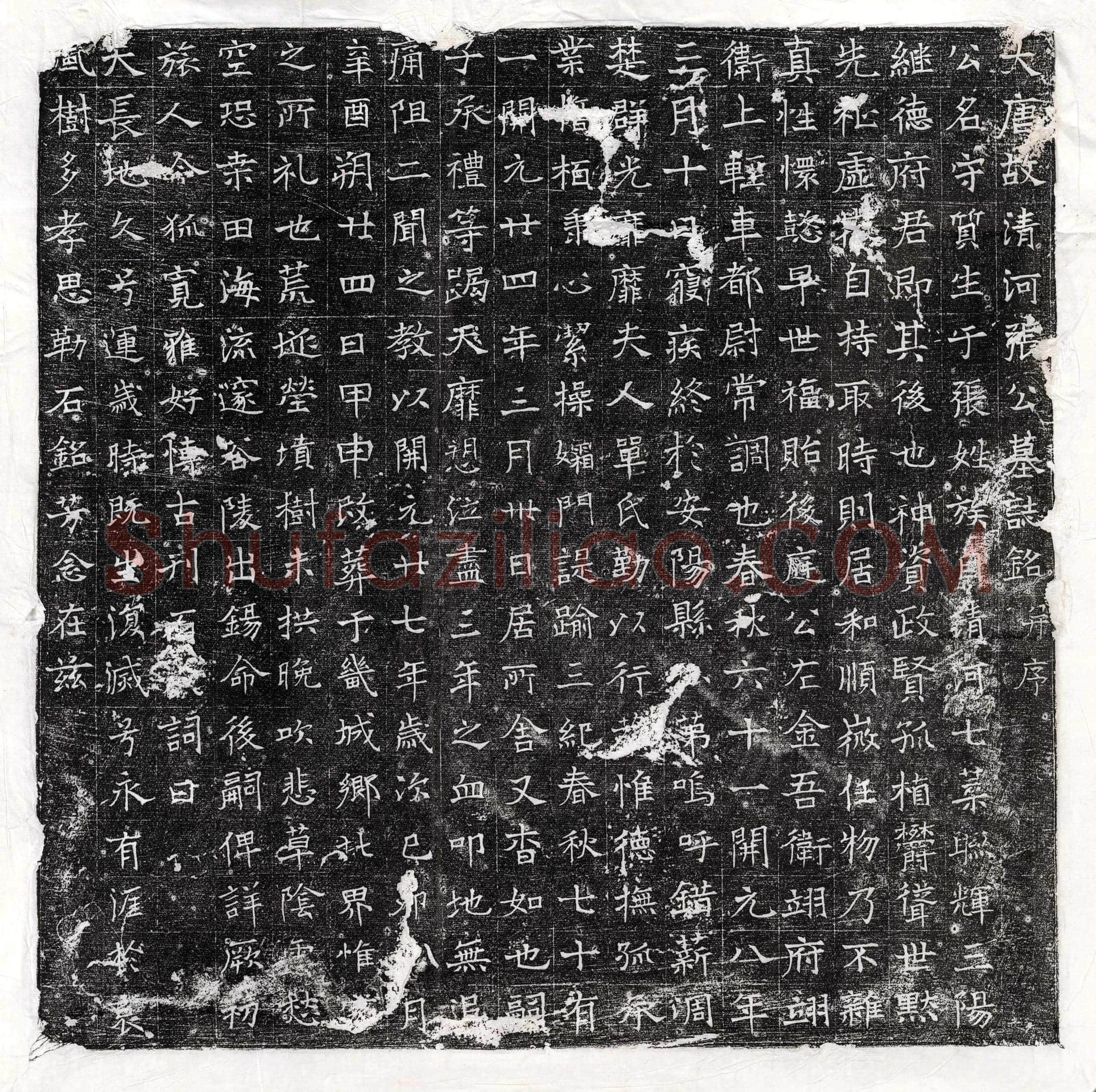 唐 仇愼 墓誌