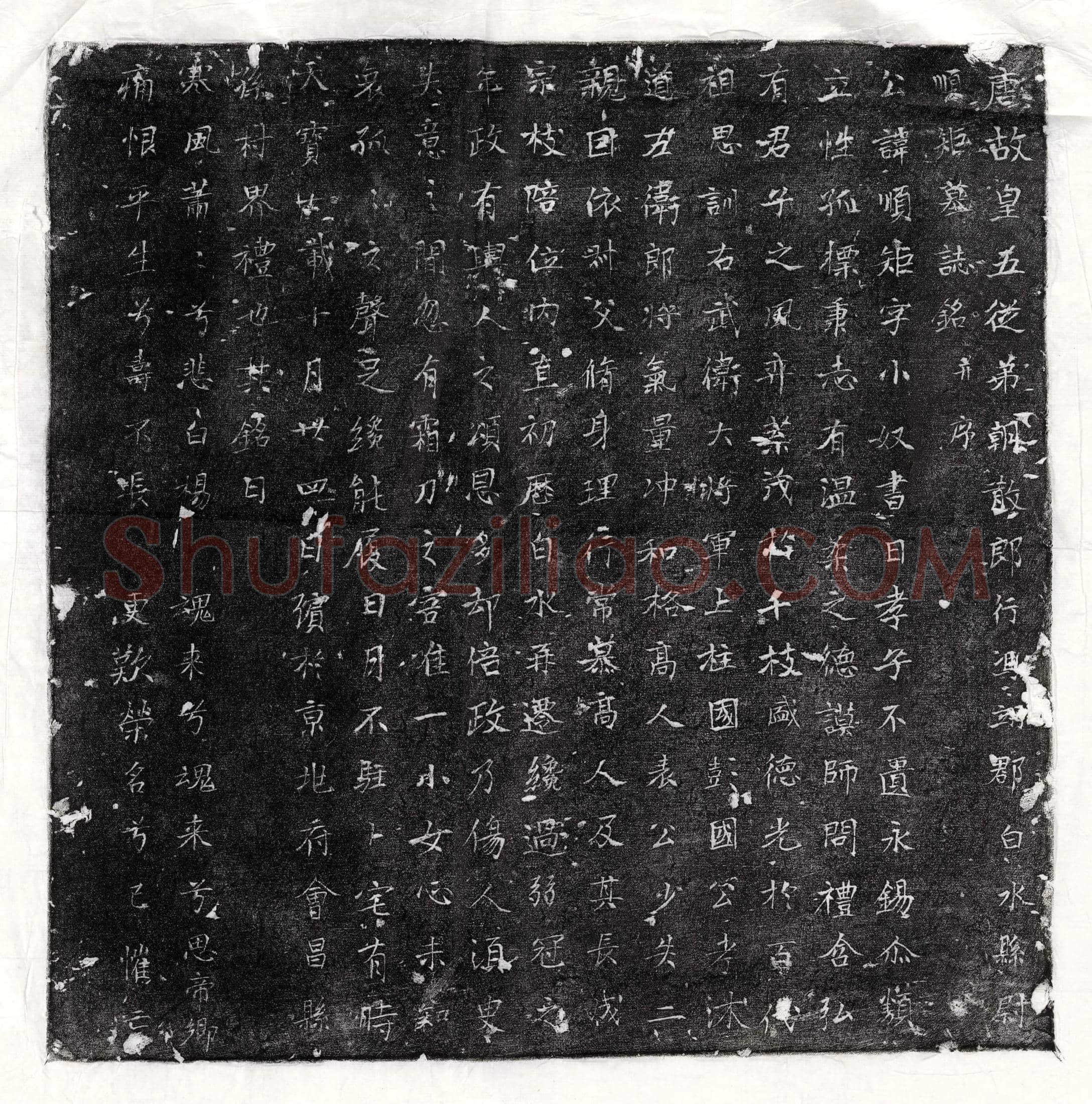 唐 常无求 墓誌