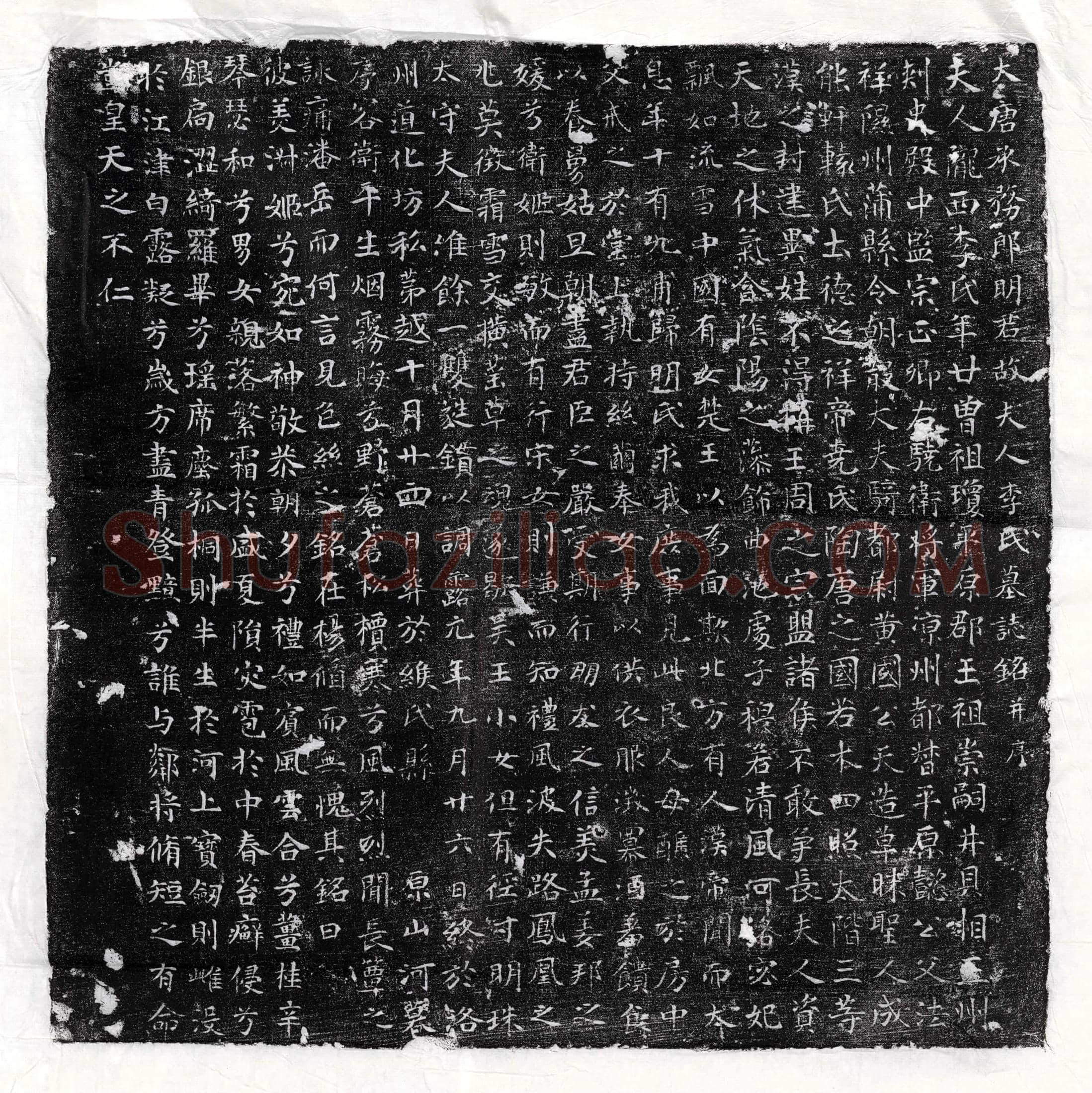 唐 常无求 墓誌