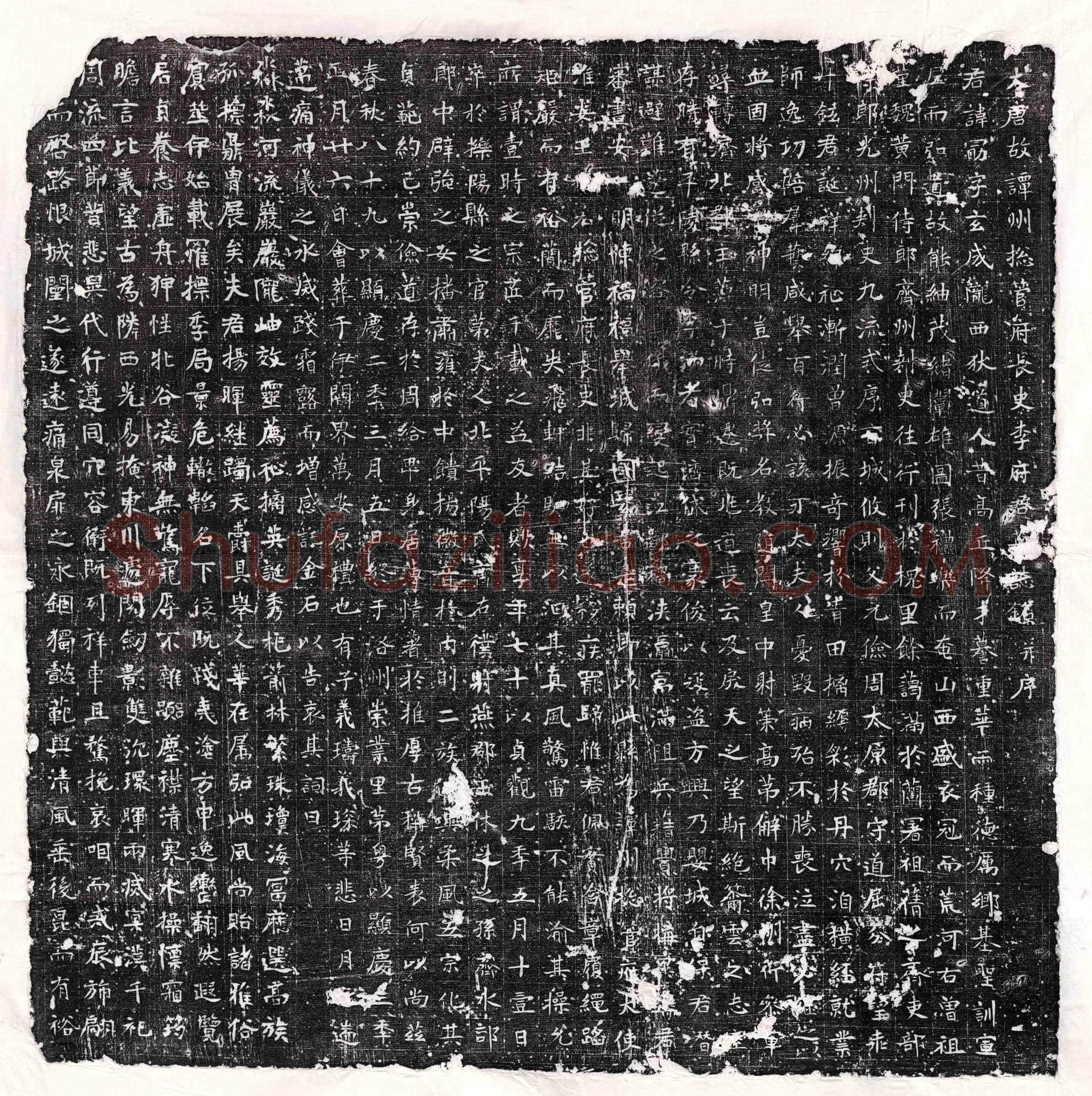 唐 司马弘度 墓誌