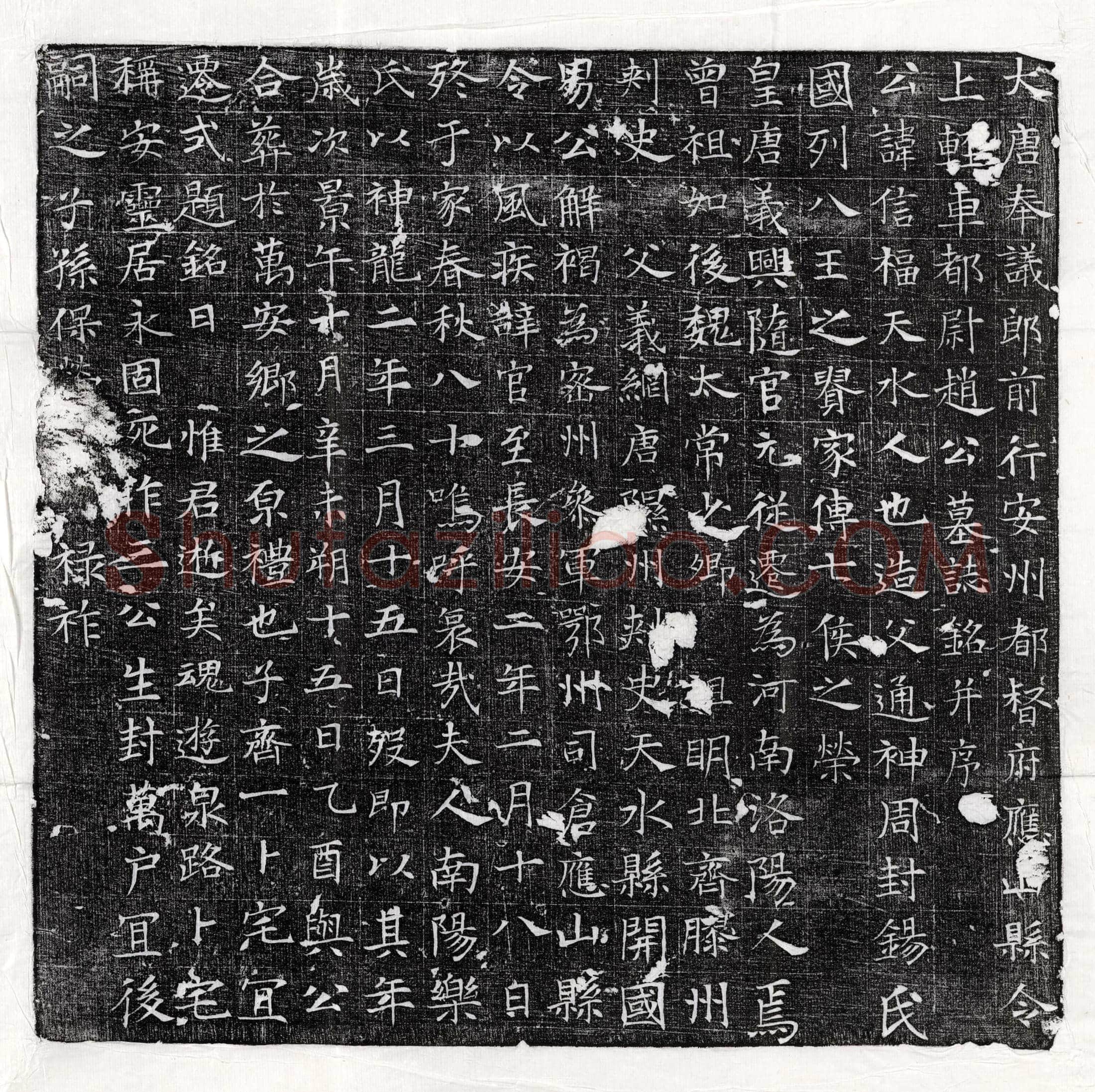 唐 王君妻姚氏 墓誌