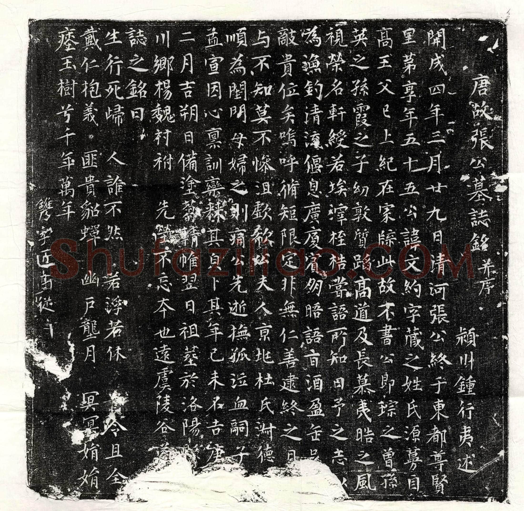 唐张文约墓誌(唐故张公墓誌铭并序)