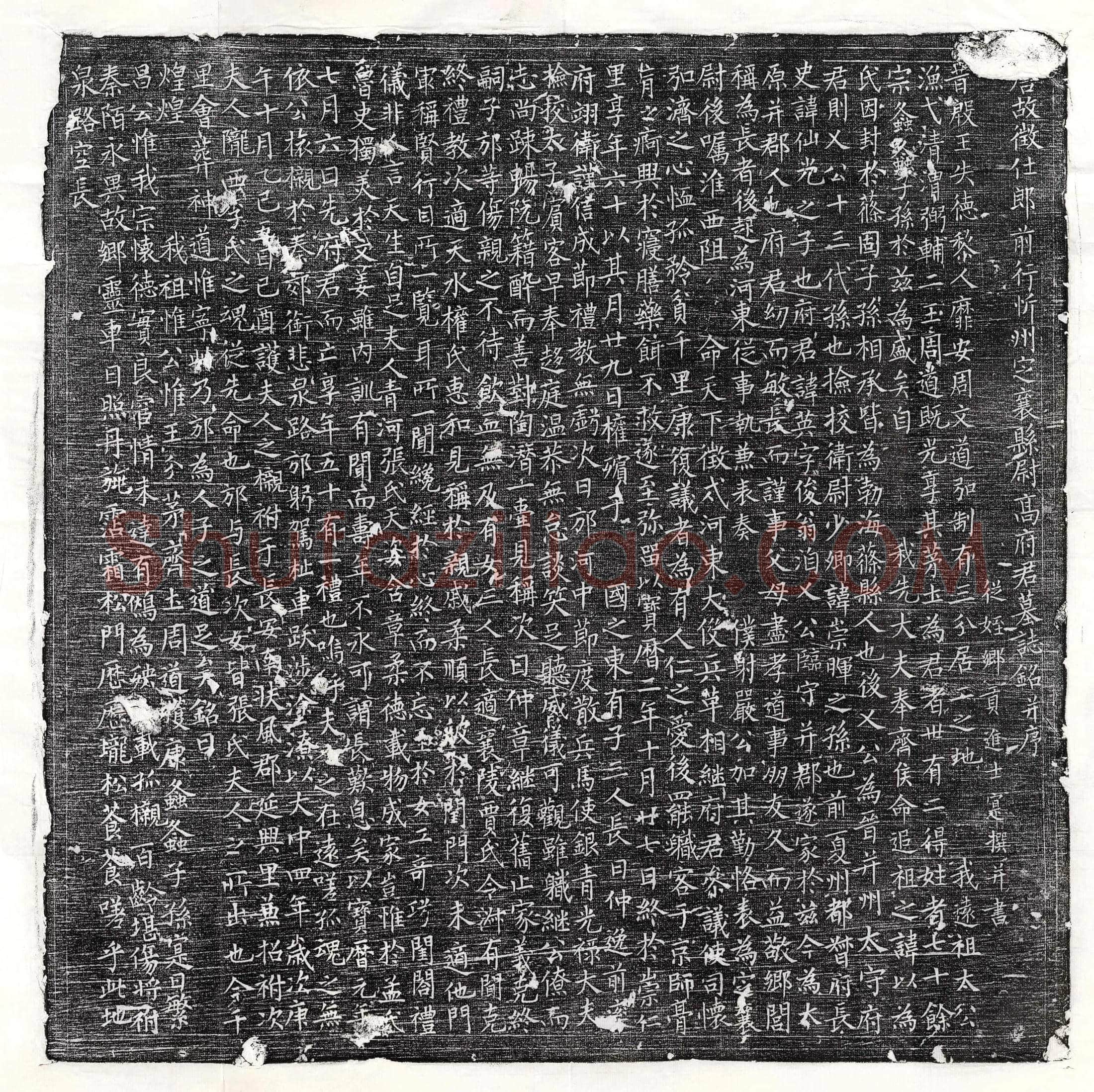 唐 王君妻李正因 墓誌