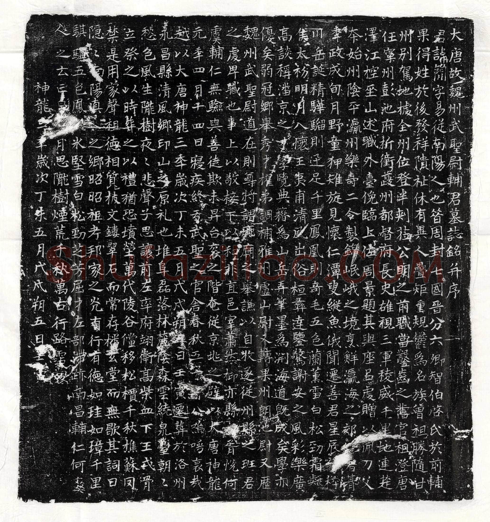 唐 马全庆 墓誌