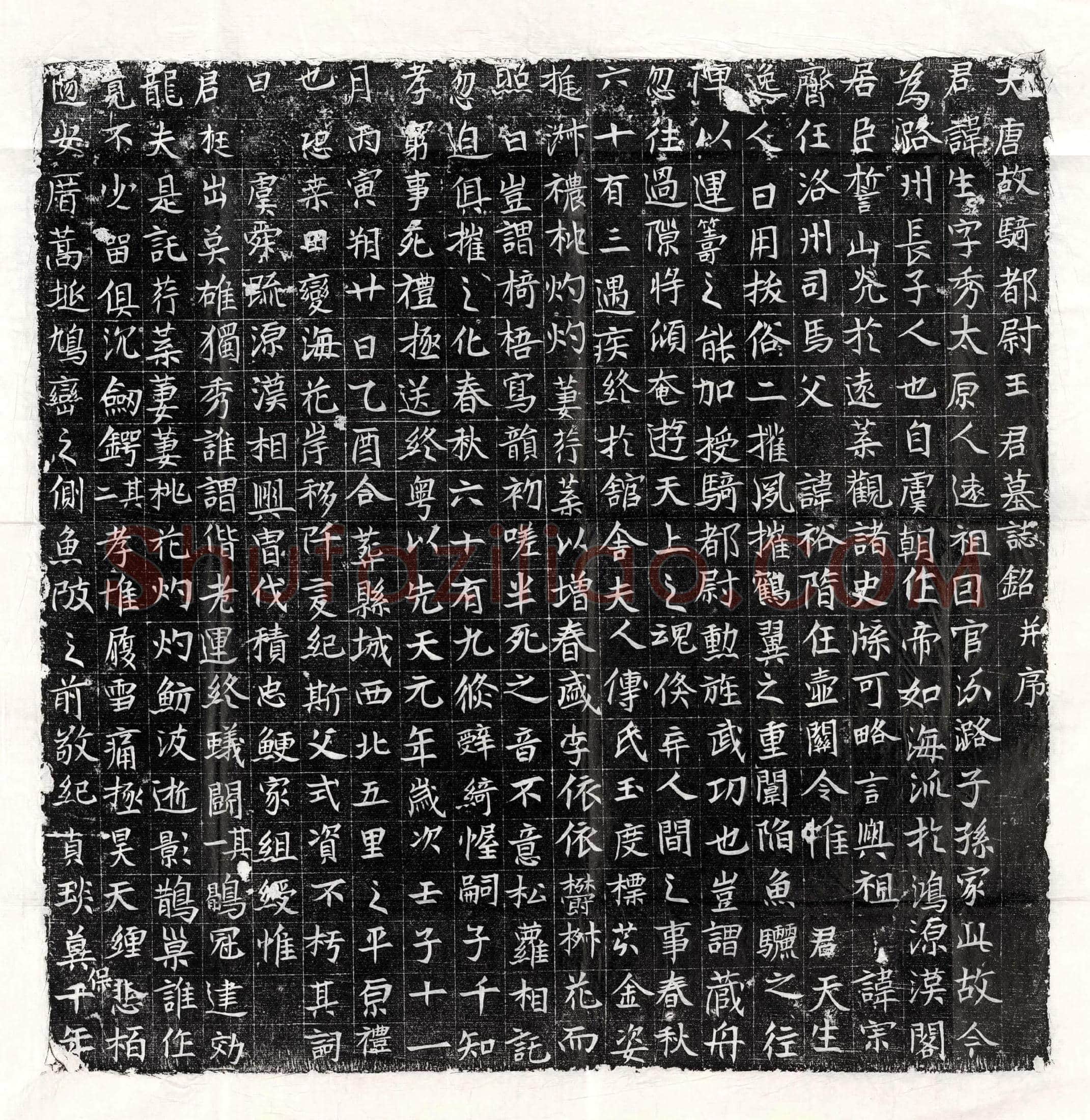 唐王生墓誌(大唐故骑都尉王君墓誌铭并序)