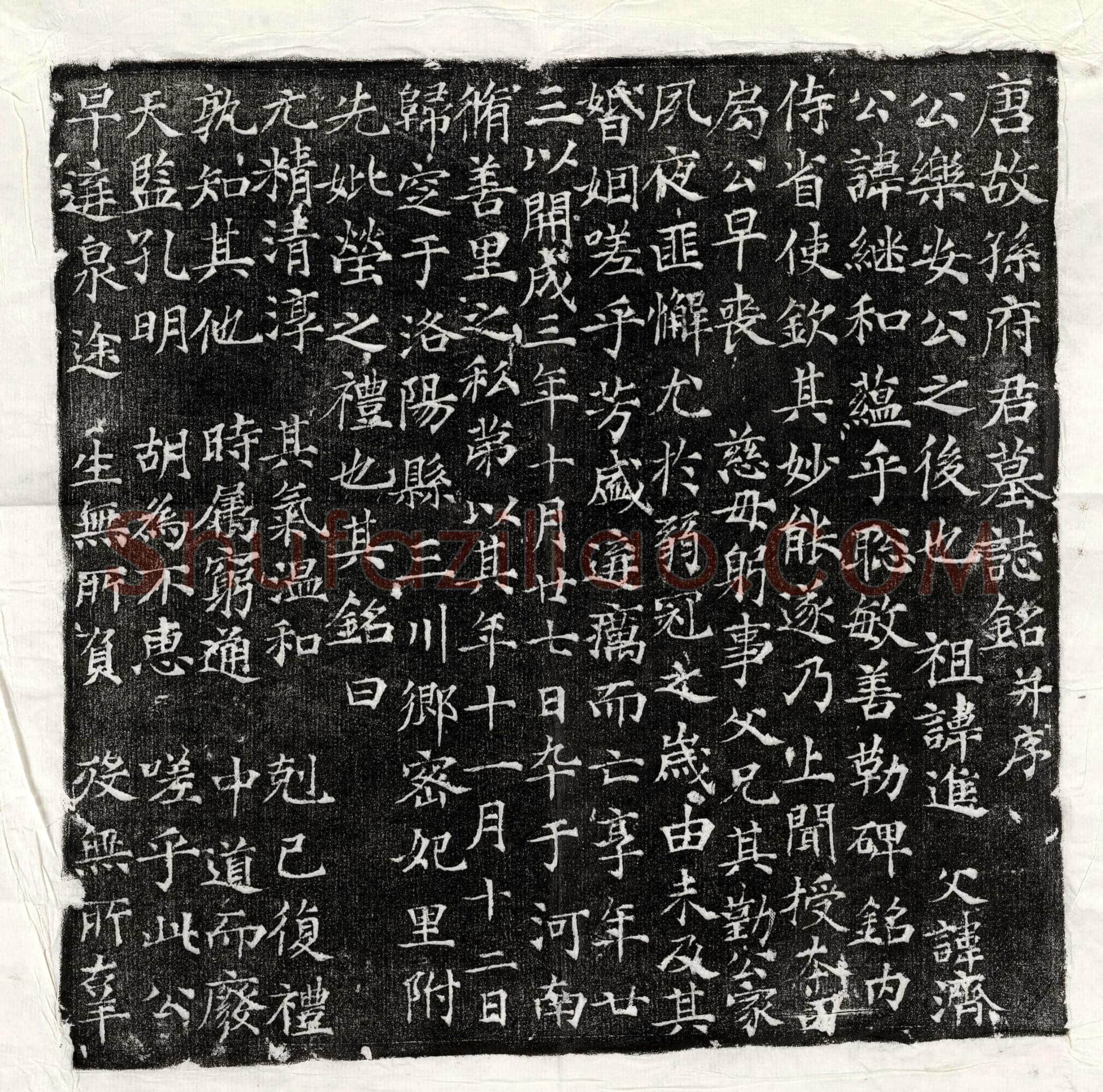 唐 崔君妻卢氏 墓誌
