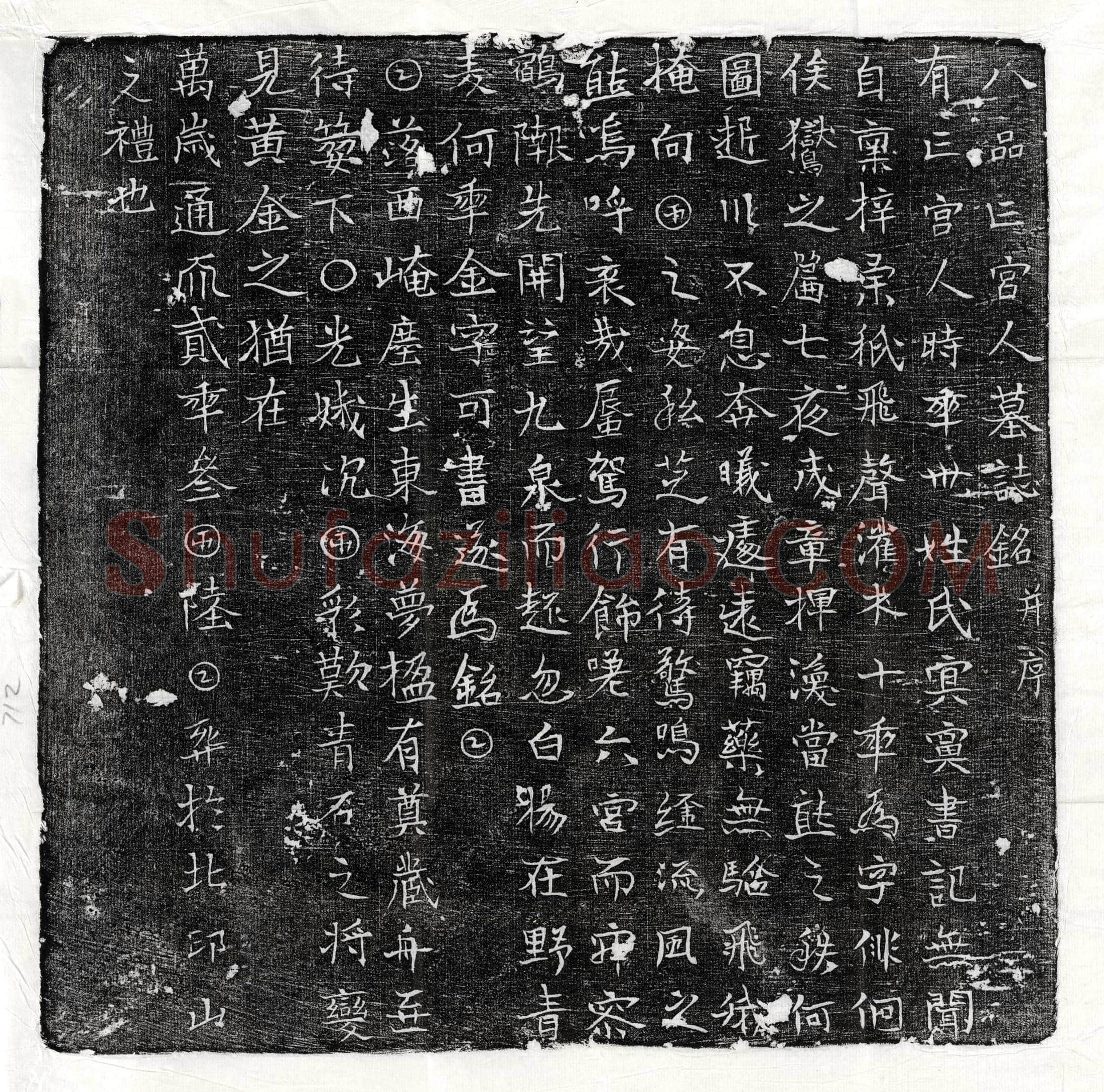 唐 盖璿 墓誌
