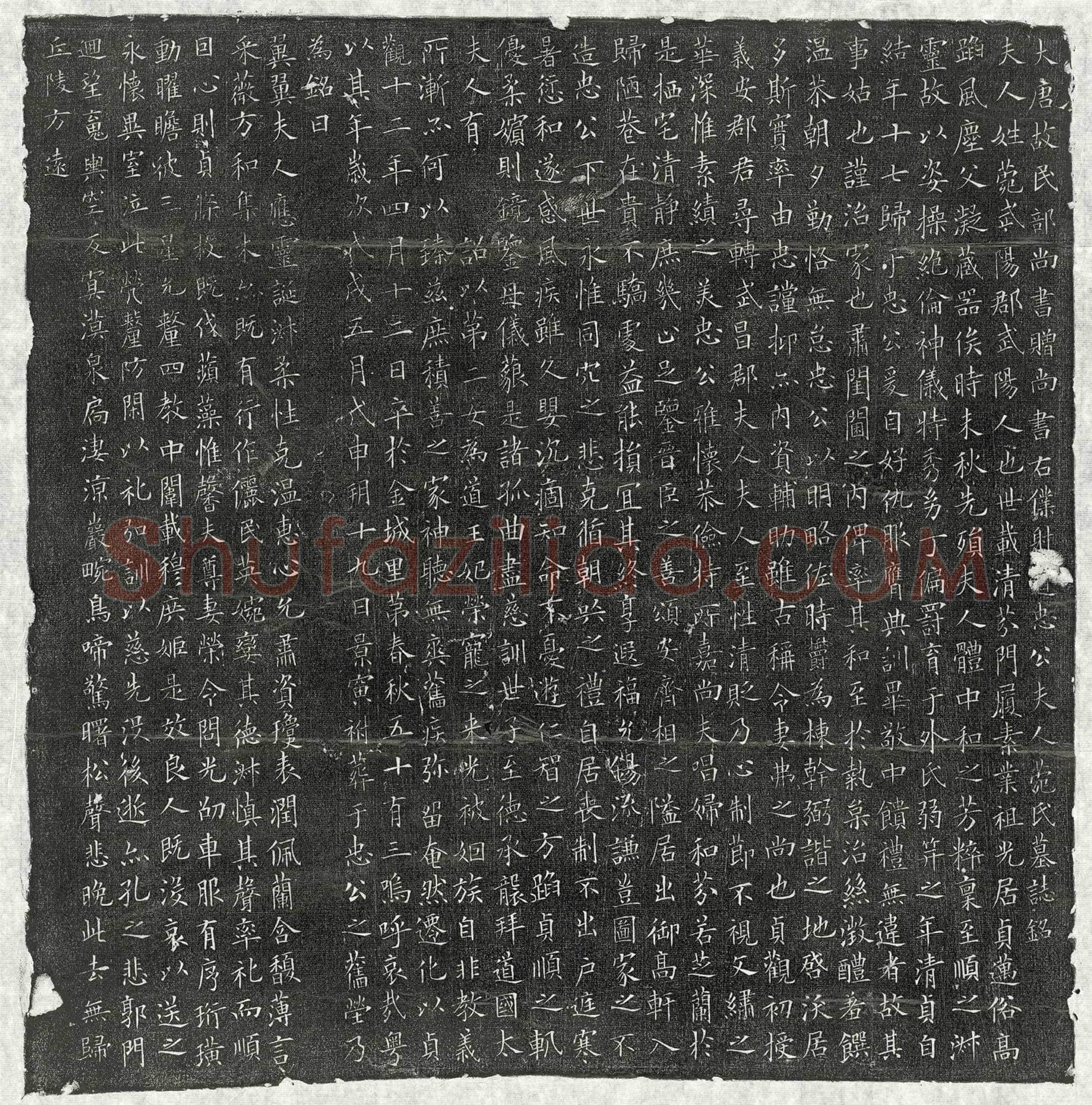 唐 戴胄 墓誌