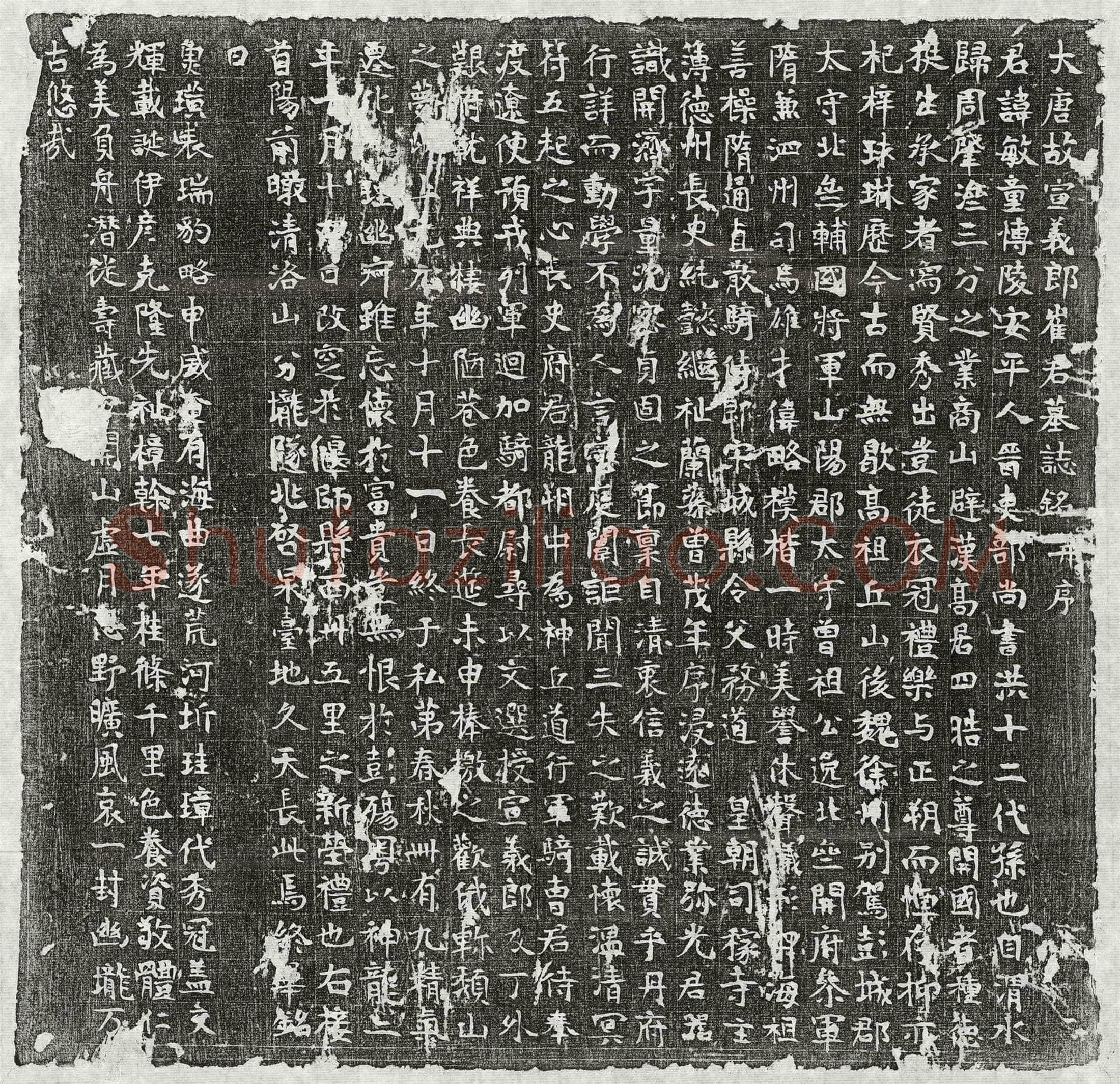 唐 杜温妻韦三从 墓誌