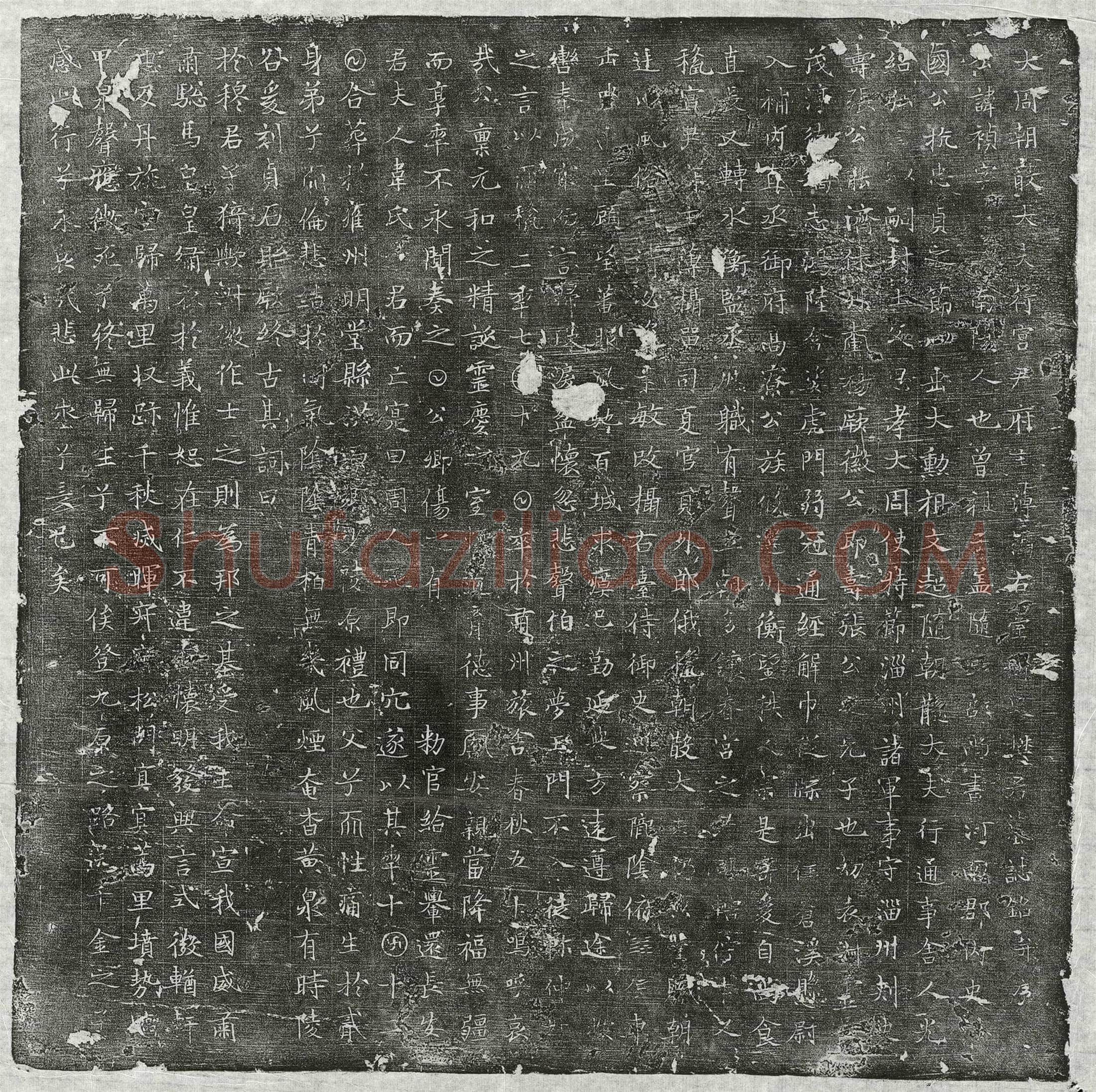 唐樊祯墓誌(大周朝散大夫行宫尹府主簿摄右台御史樊君墓誌铭并序)
