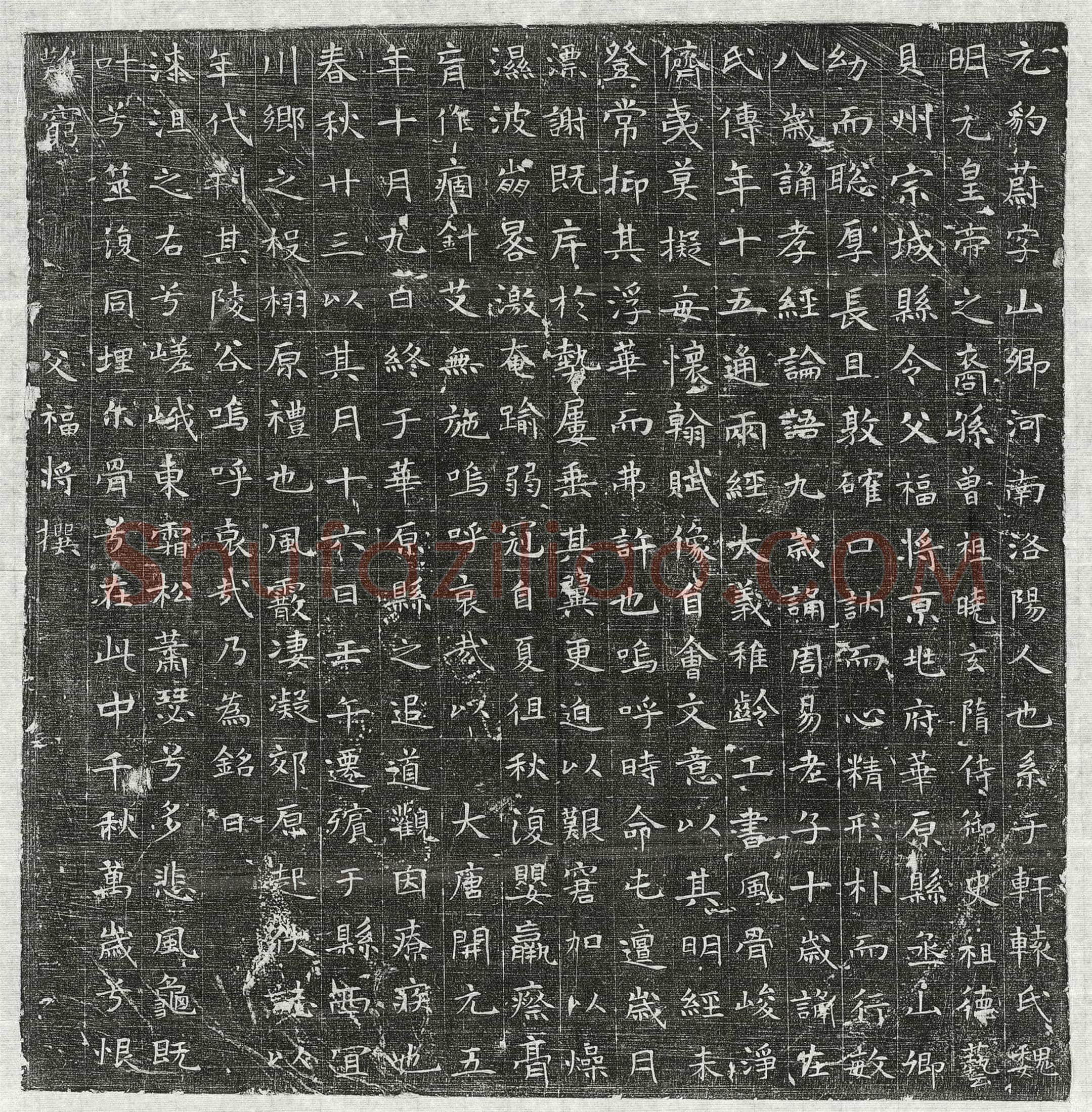 唐 杜表政 墓誌