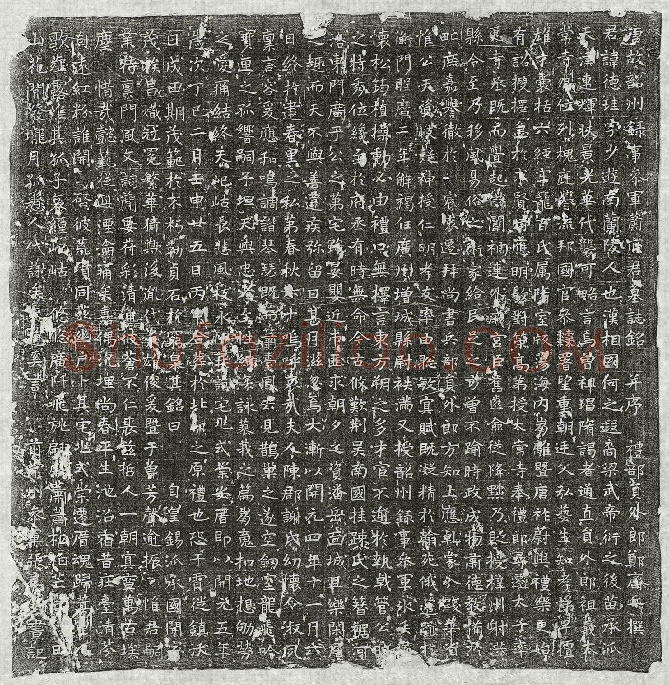 唐 王璿 墓誌