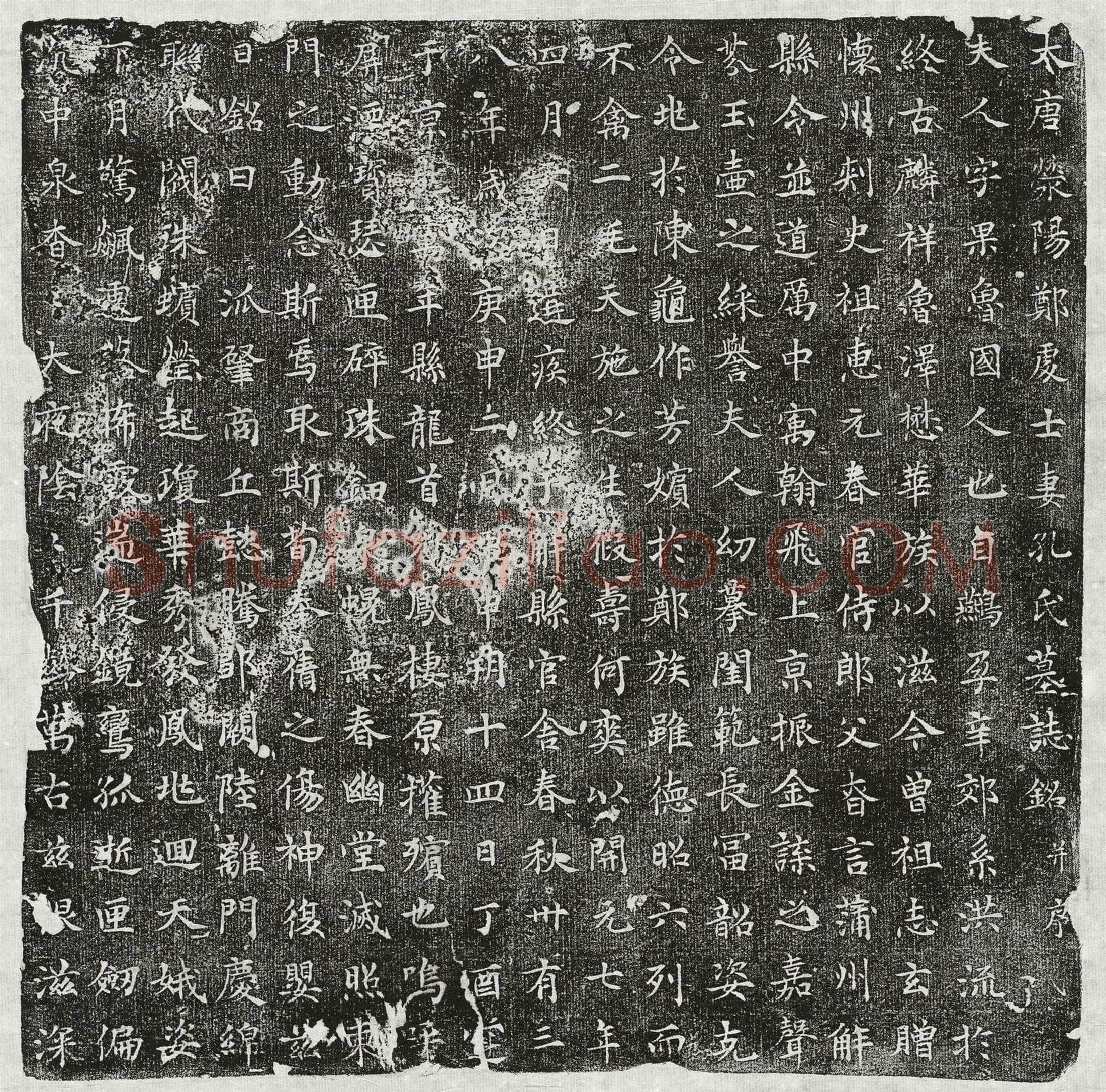 唐郑君妻孔果墓誌(大唐荥阳郑处士妻孔氏墓誌铭并序)