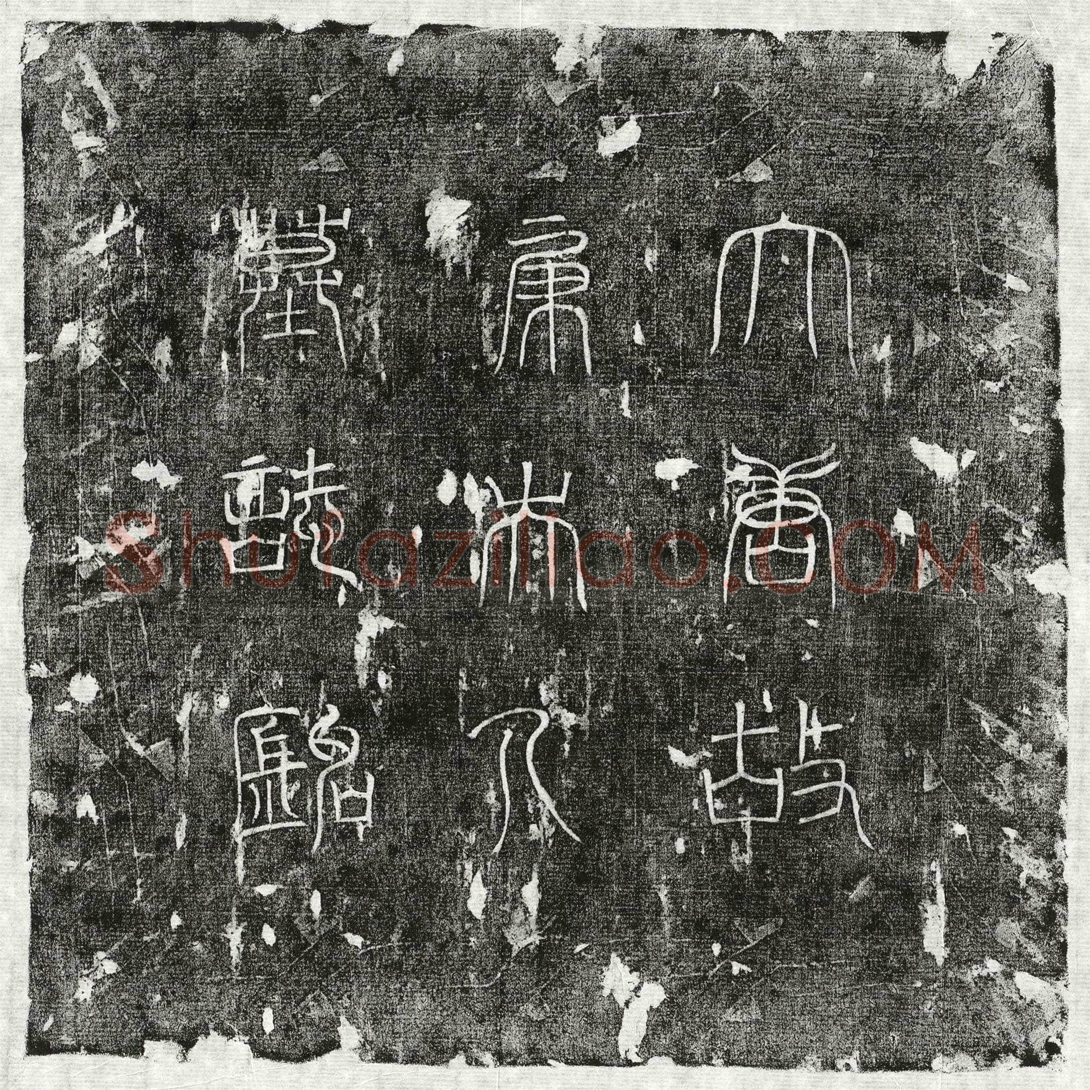 唐 美人张七娘 墓誌