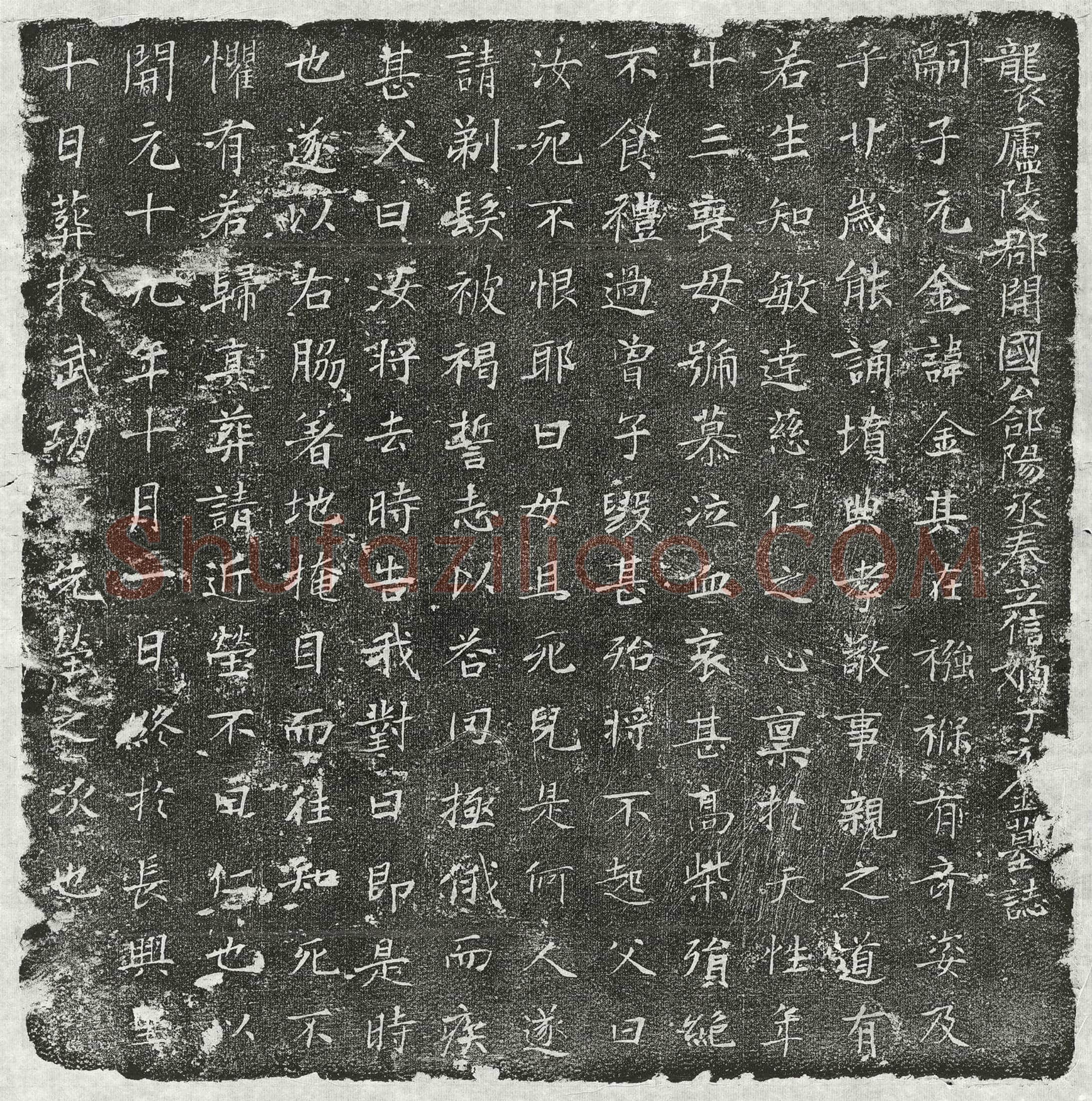 唐秦元金墓誌(袭庐陵郡开国公郃阳丞秦立信嫡子元金墓誌)
