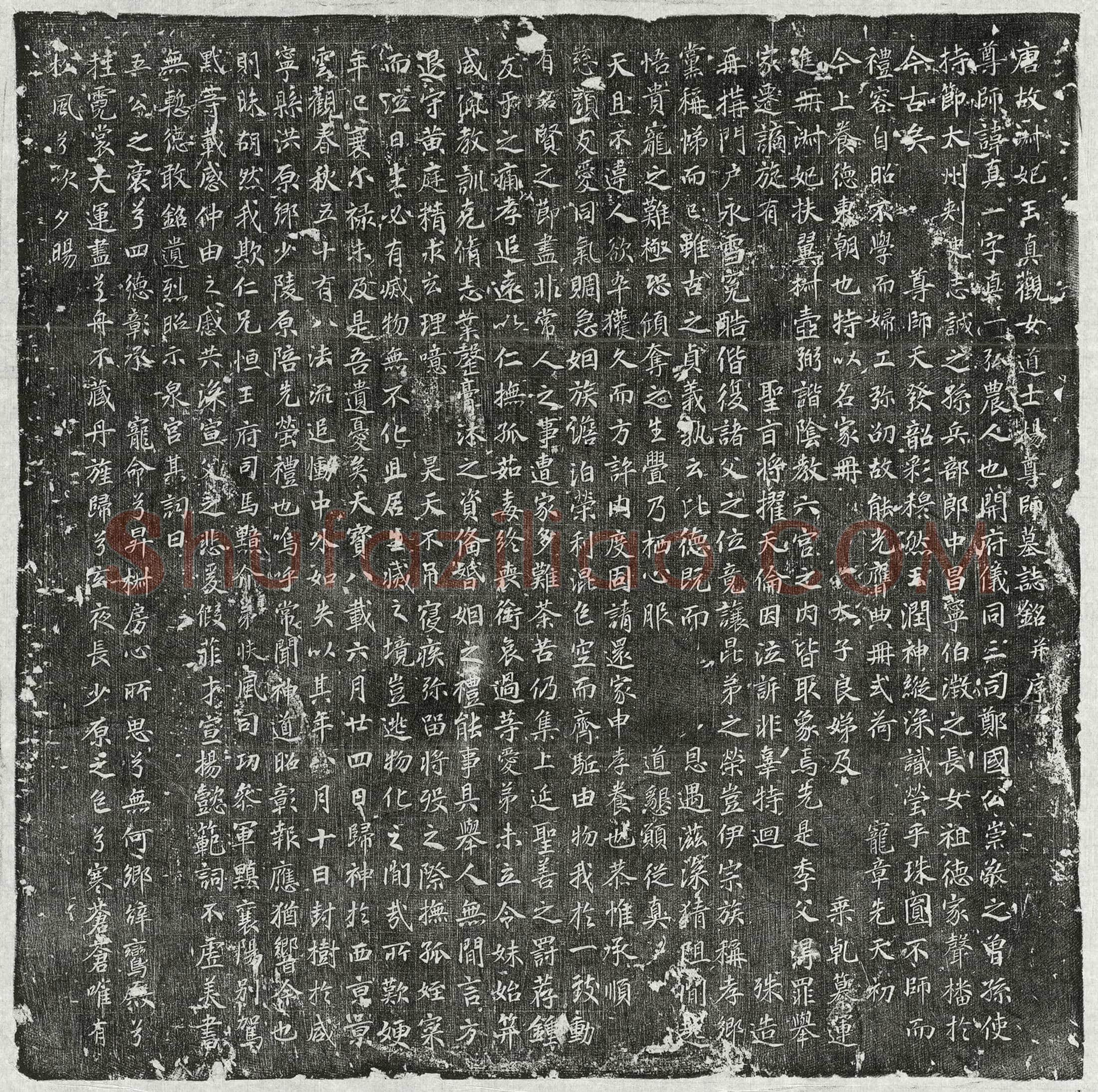 唐淑妃杨真一墓誌(唐故淑妃玉真观女道士杨尊师墓誌铭并序)
