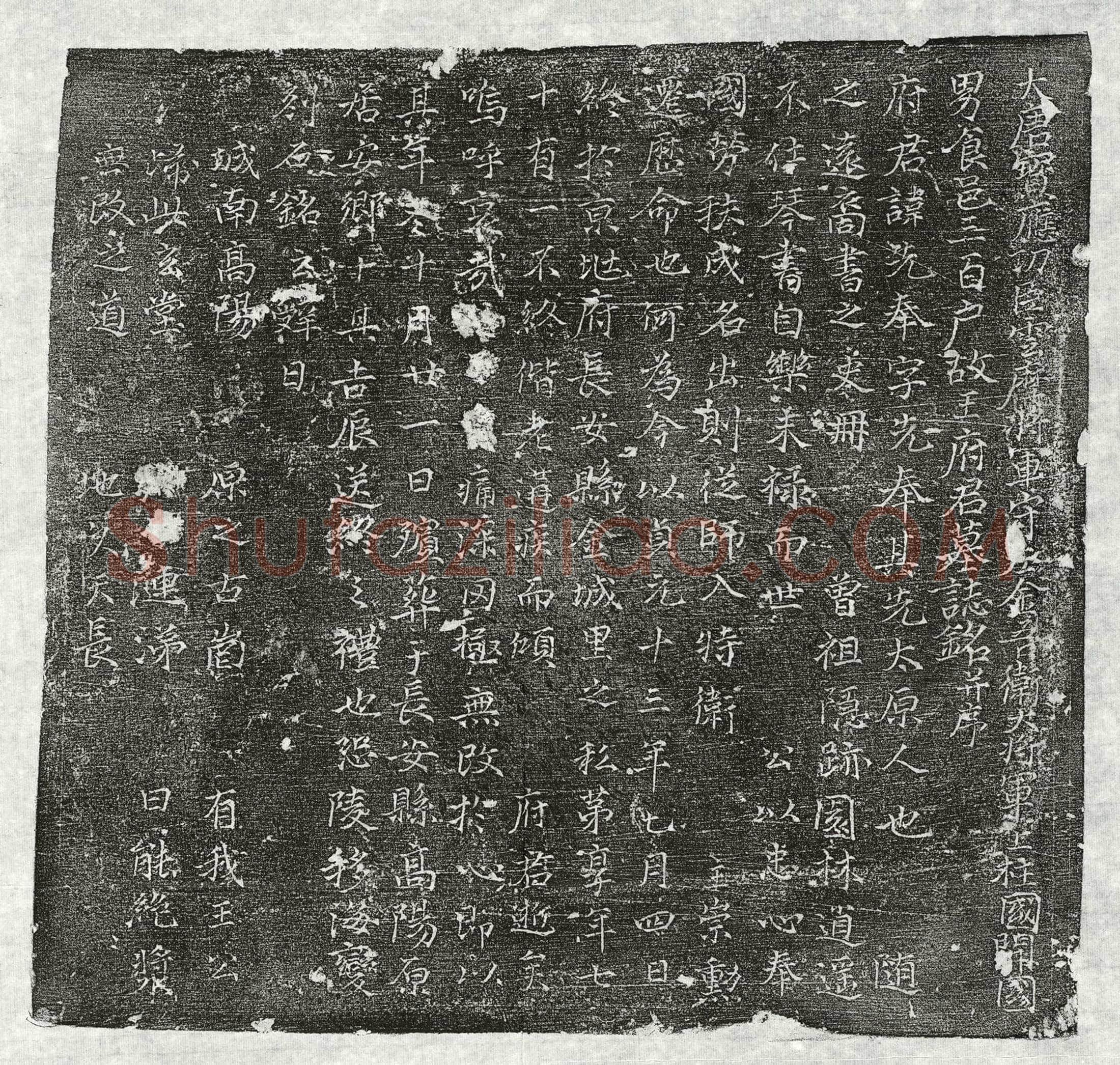 唐 杨君妻魏氏 墓誌
