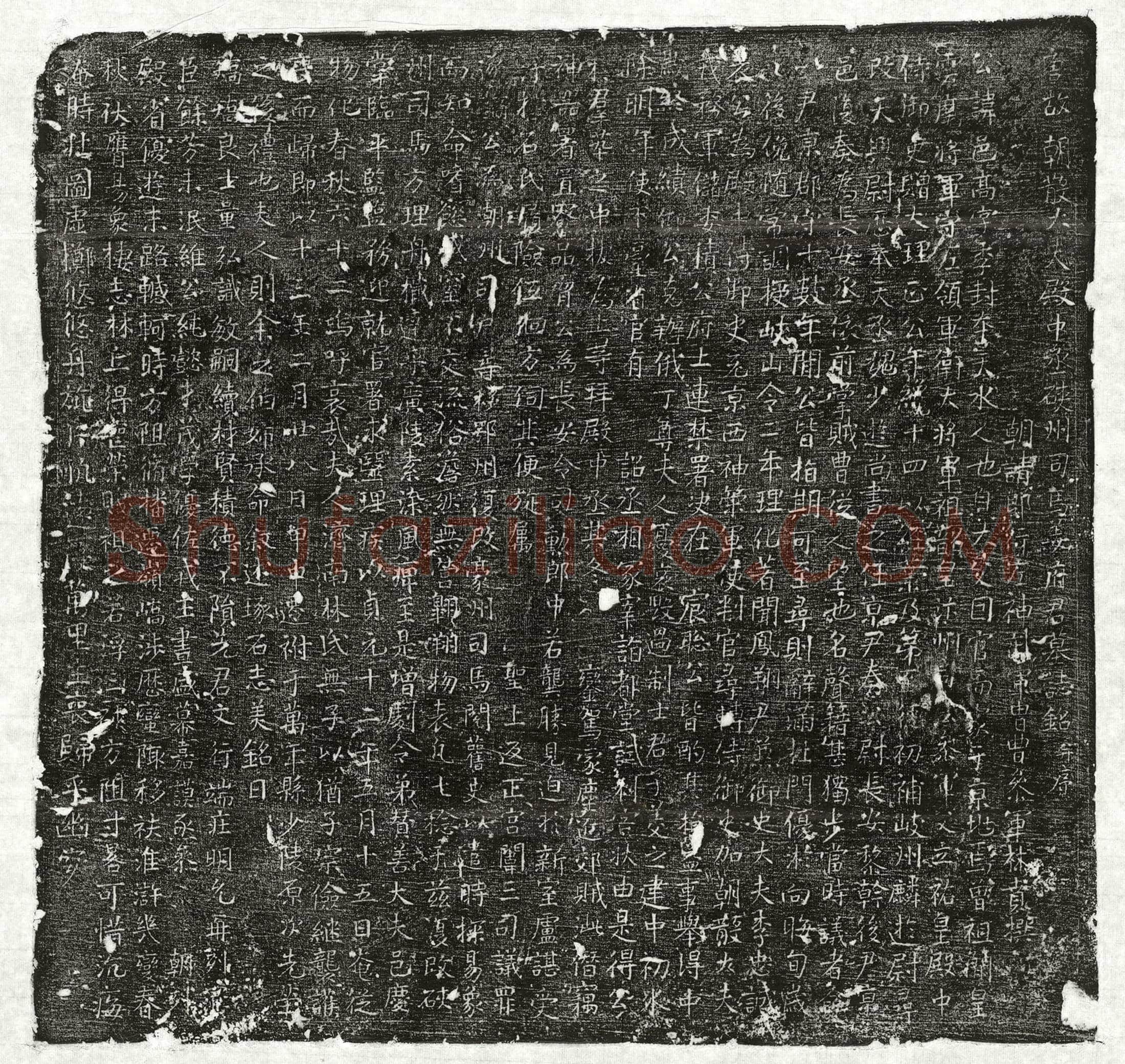 唐姜邑高墓誌(唐故朝散大夫殿中丞硖州司马姜府君墓誌铭并序)