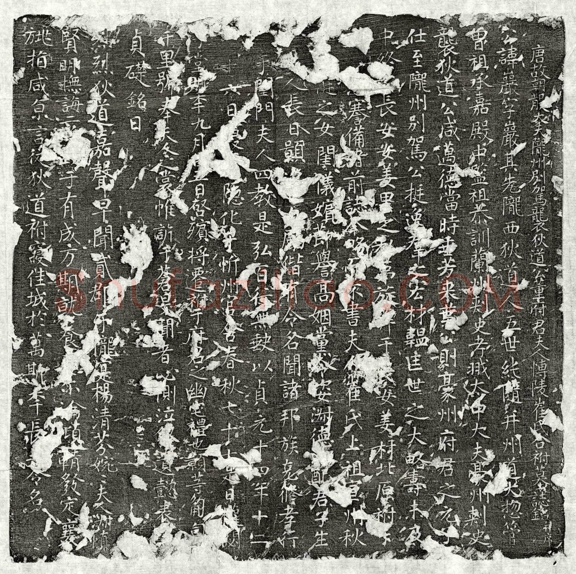 唐 杨鉷 墓誌