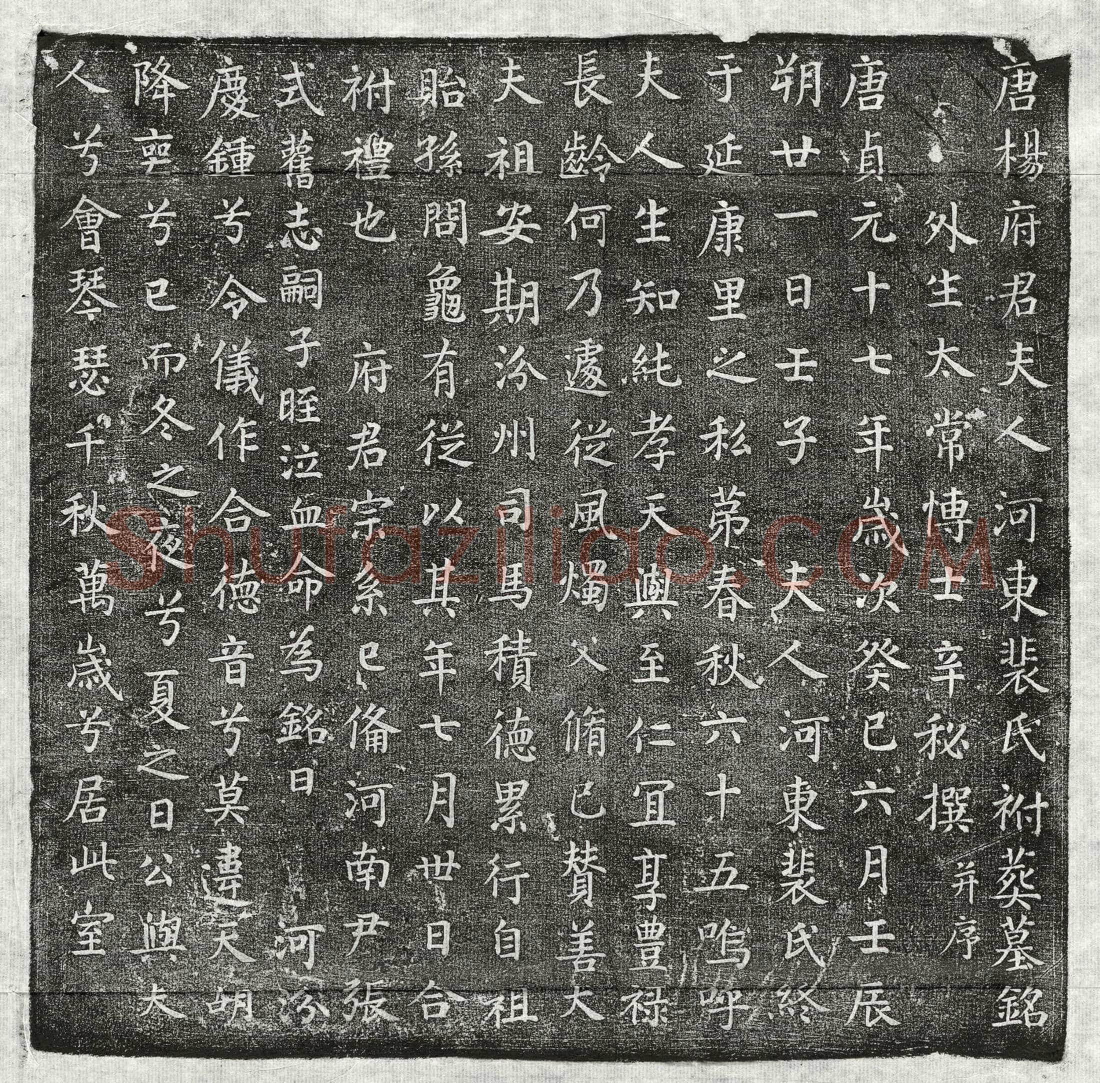 唐杨鉷妻裴氏墓誌(唐杨府君夫人河东裴氏祔葬墓铭)