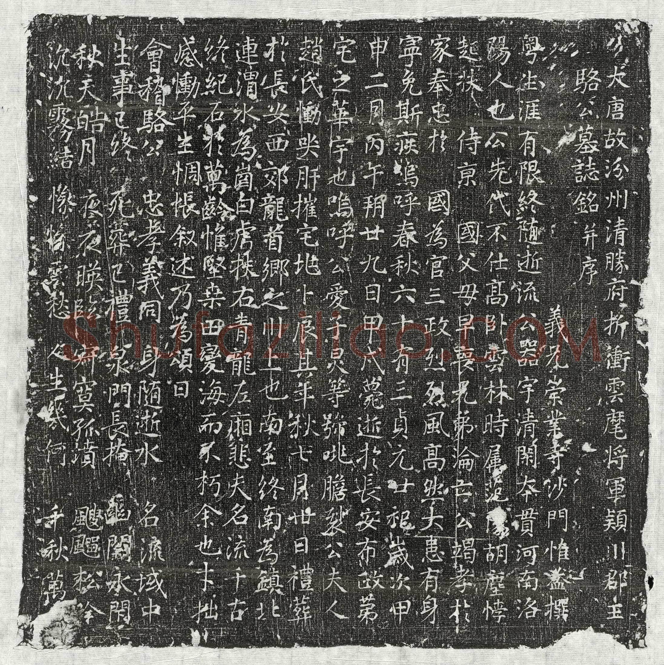 唐 沈权 墓誌