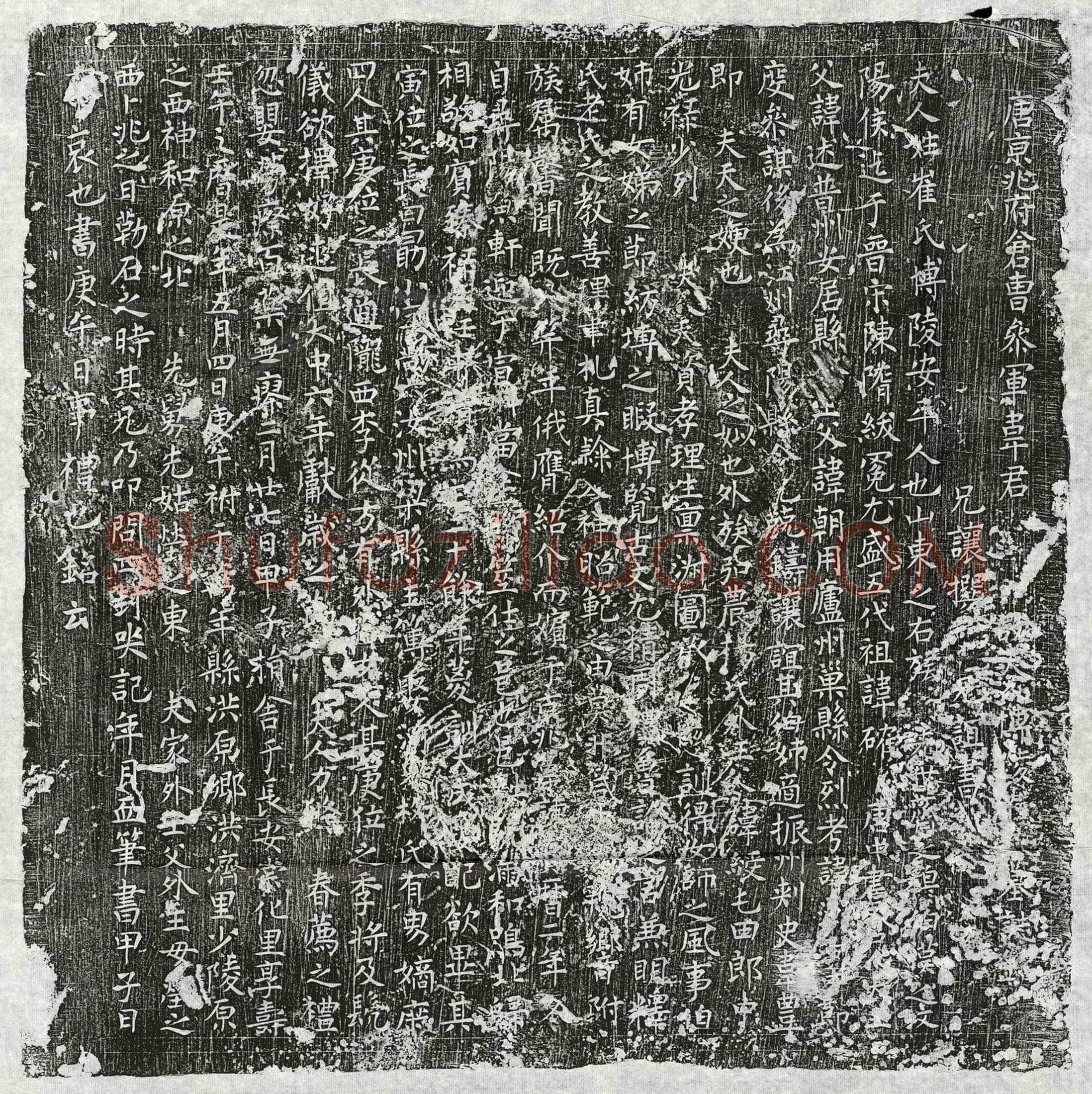 唐 王文则 墓誌