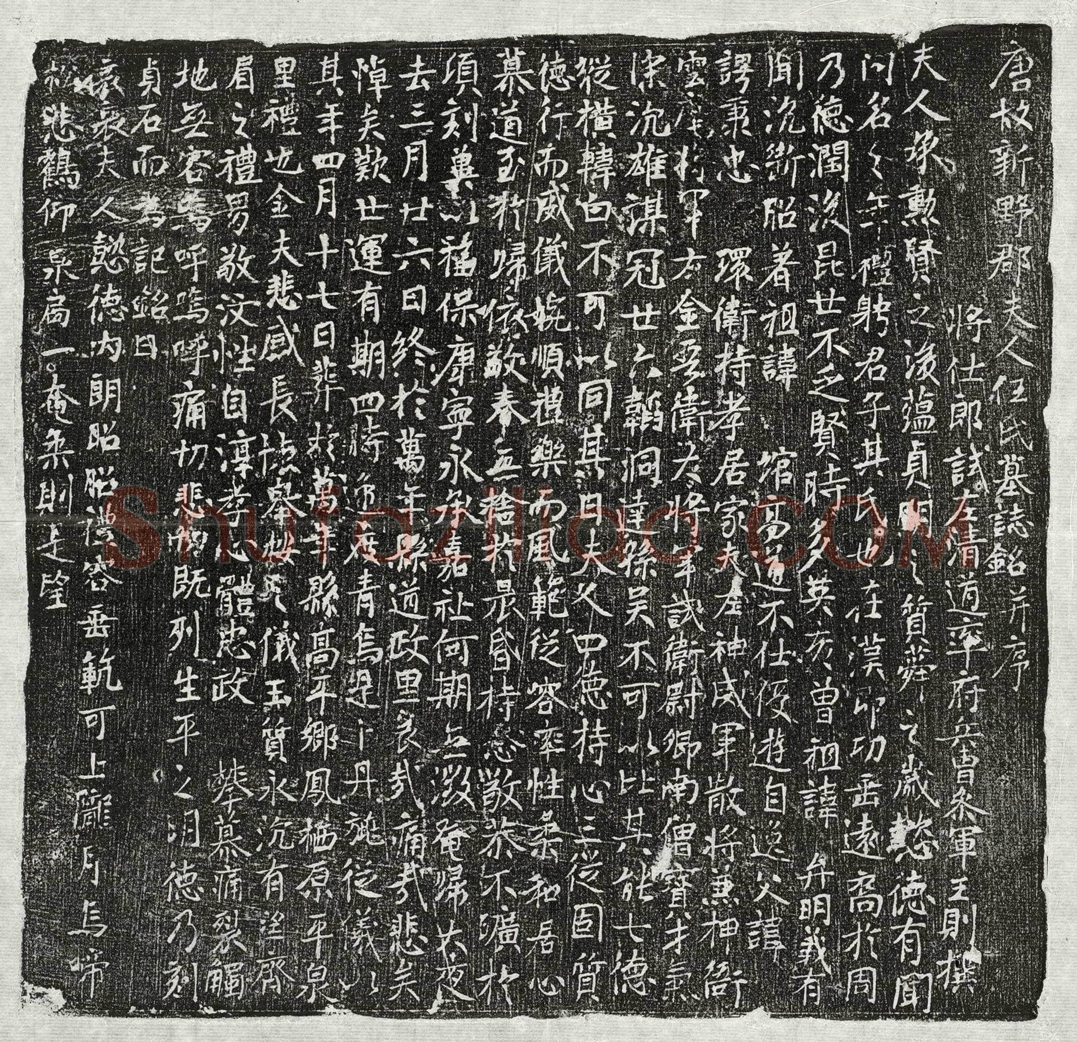 唐 张君 墓誌