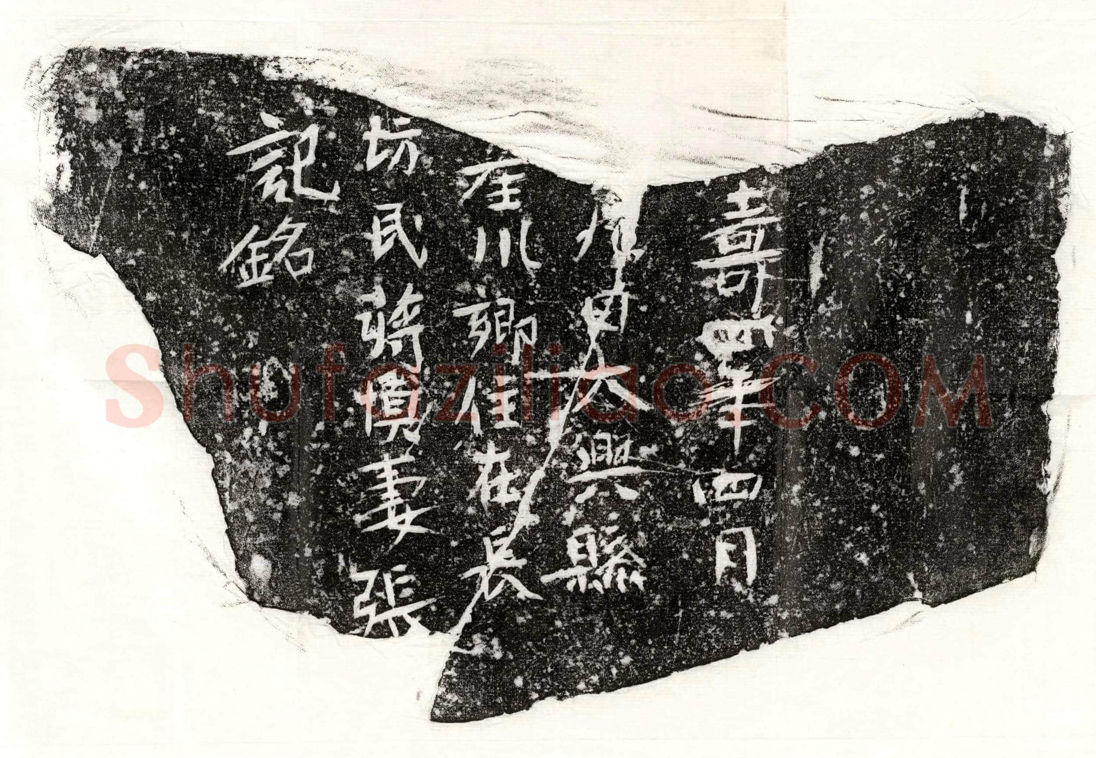隋蒋慎妻张氏墓誌