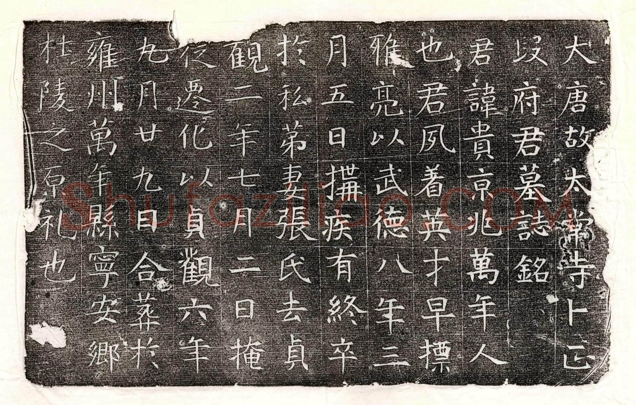 隋 元世寿 墓誌