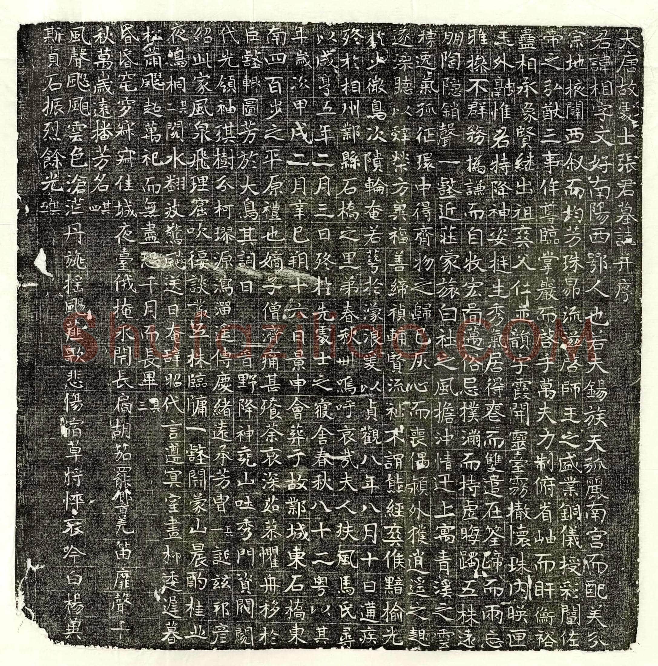 唐 魏悊 墓誌