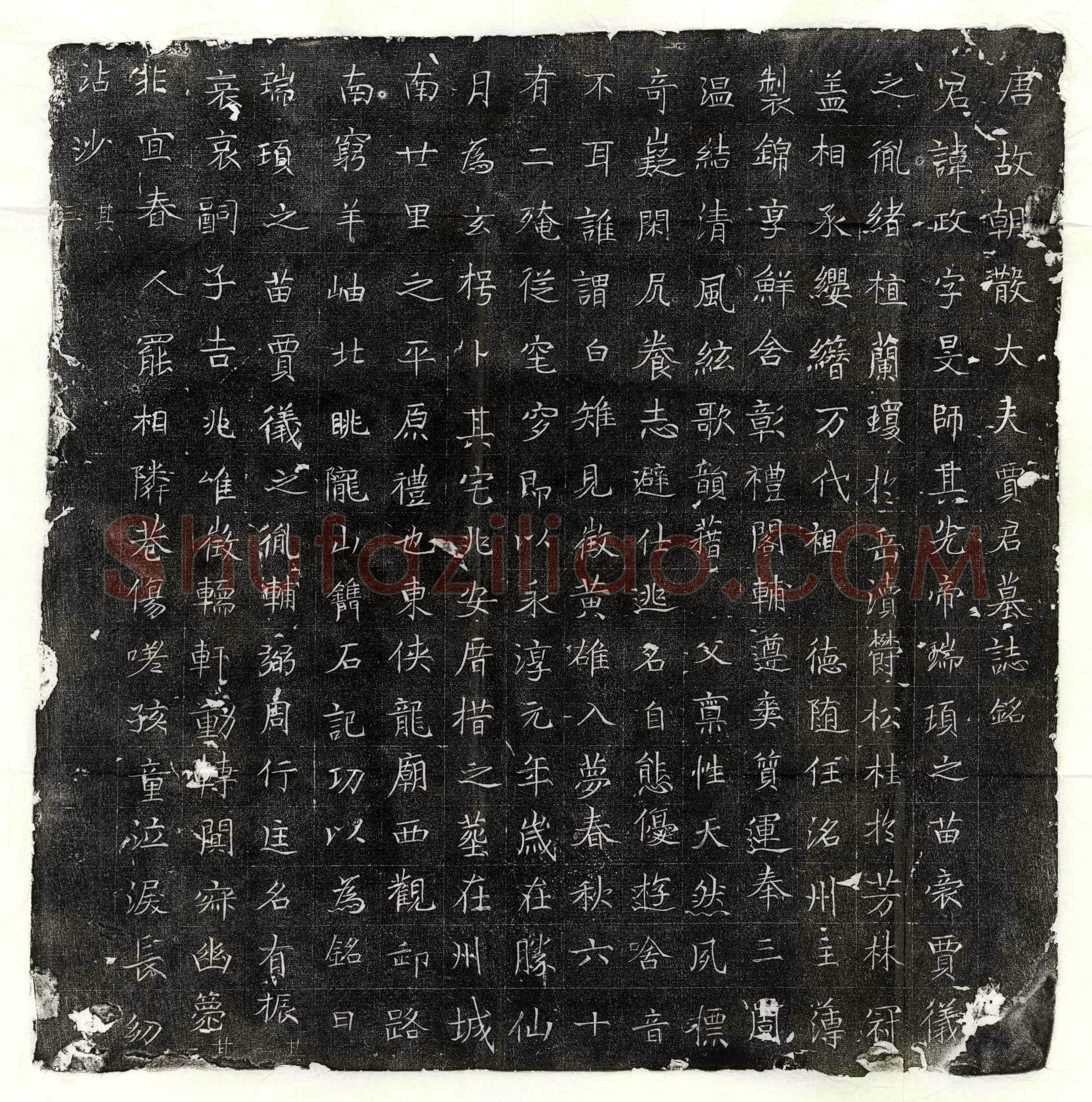 唐 王仁安 墓誌