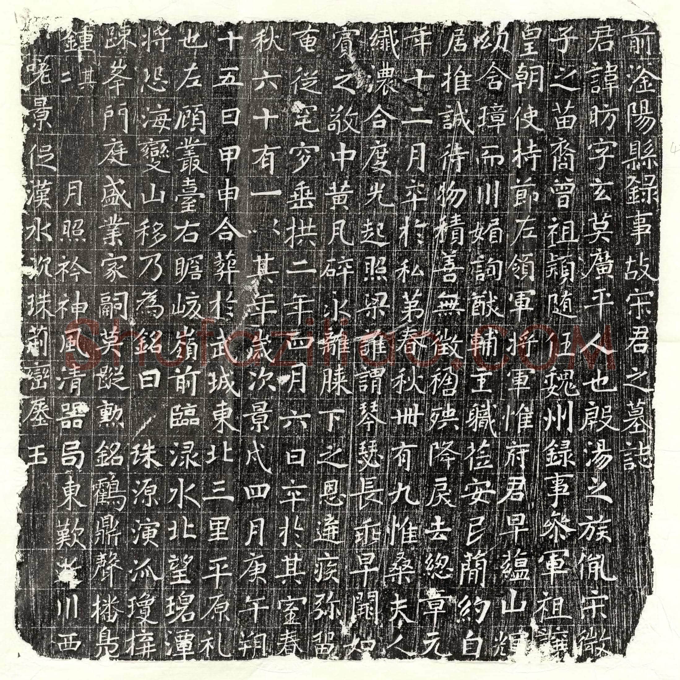 唐 七品宫尼 墓誌